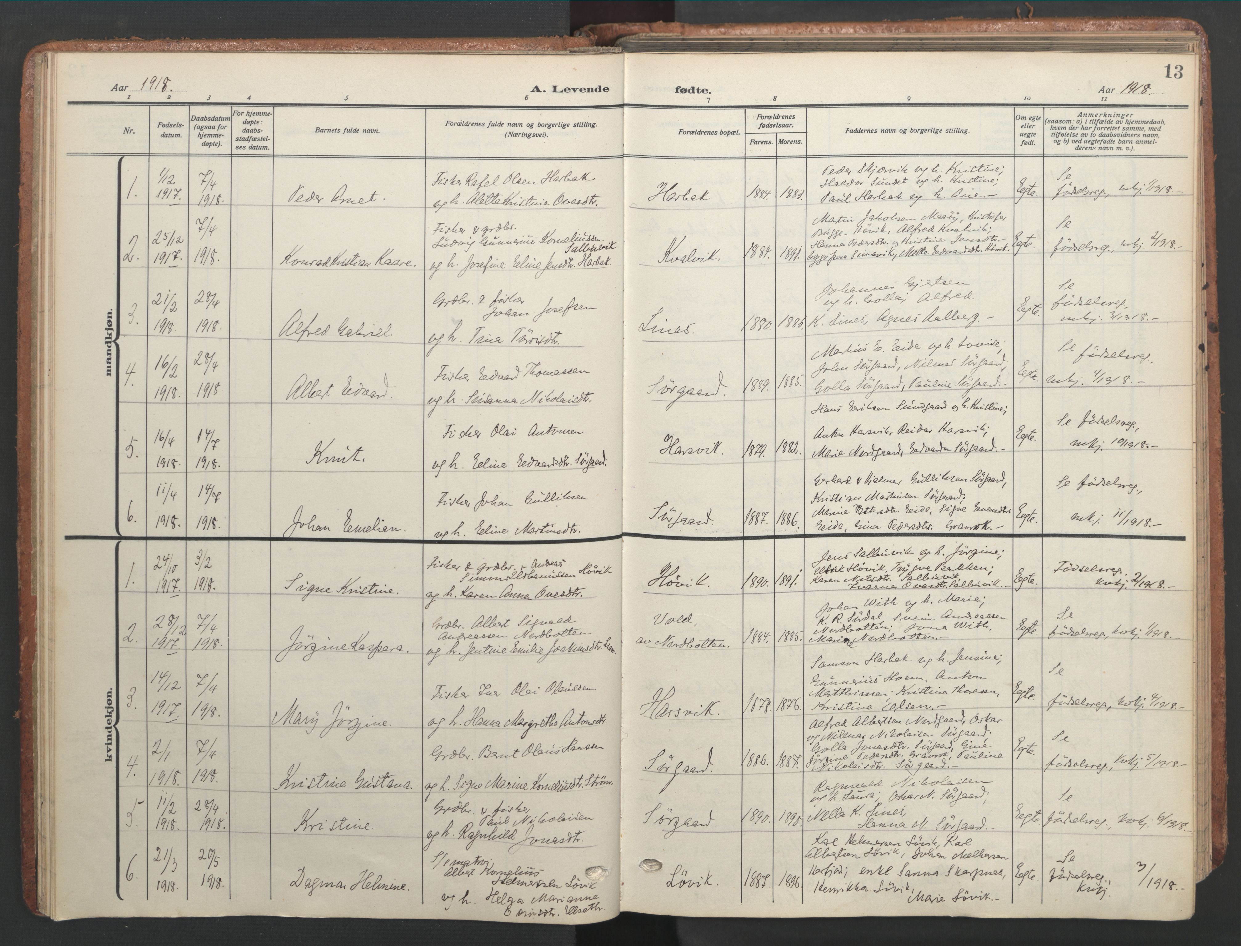 Ministerialprotokoller, klokkerbøker og fødselsregistre - Sør-Trøndelag, SAT/A-1456/656/L0694: Parish register (official) no. 656A03, 1914-1931, p. 13