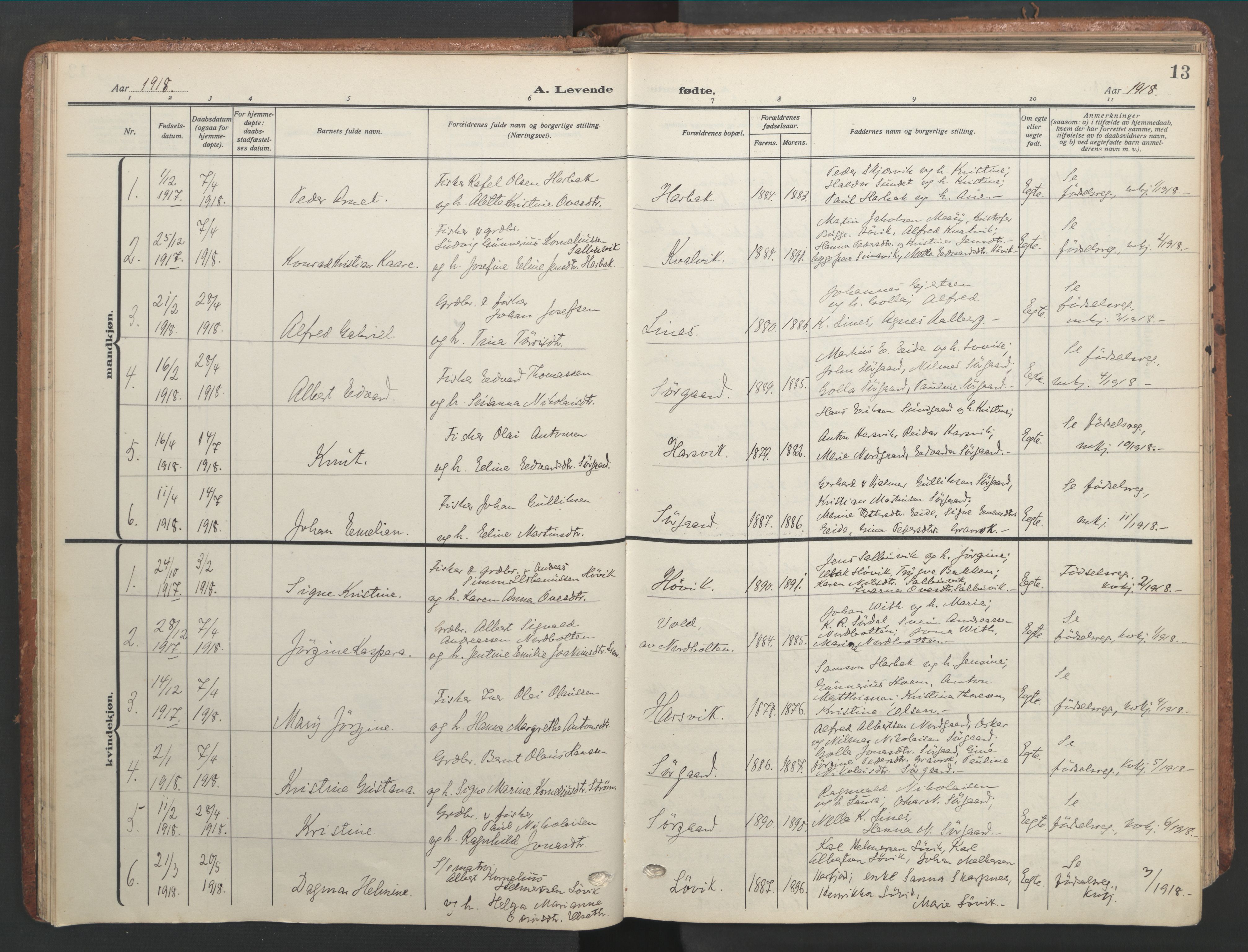 Ministerialprotokoller, klokkerbøker og fødselsregistre - Sør-Trøndelag, AV/SAT-A-1456/656/L0694: Parish register (official) no. 656A03, 1914-1931, p. 13