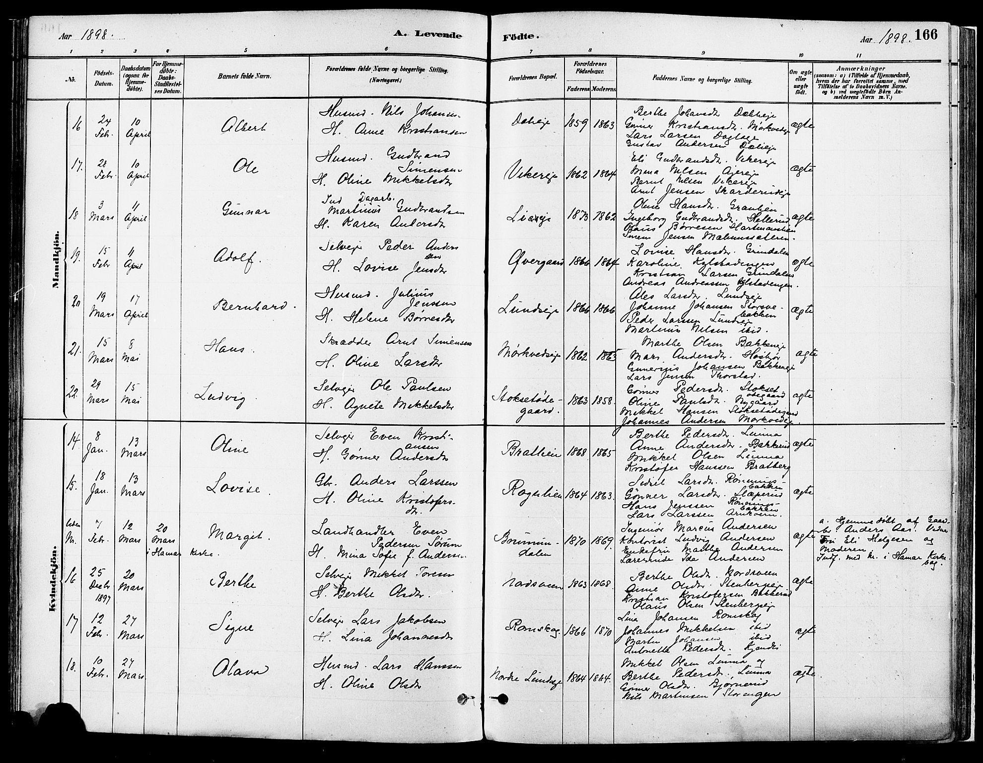 Vang prestekontor, Hedmark, AV/SAH-PREST-008/H/Ha/Haa/L0018A: Parish register (official) no. 18A, 1880-1906, p. 166