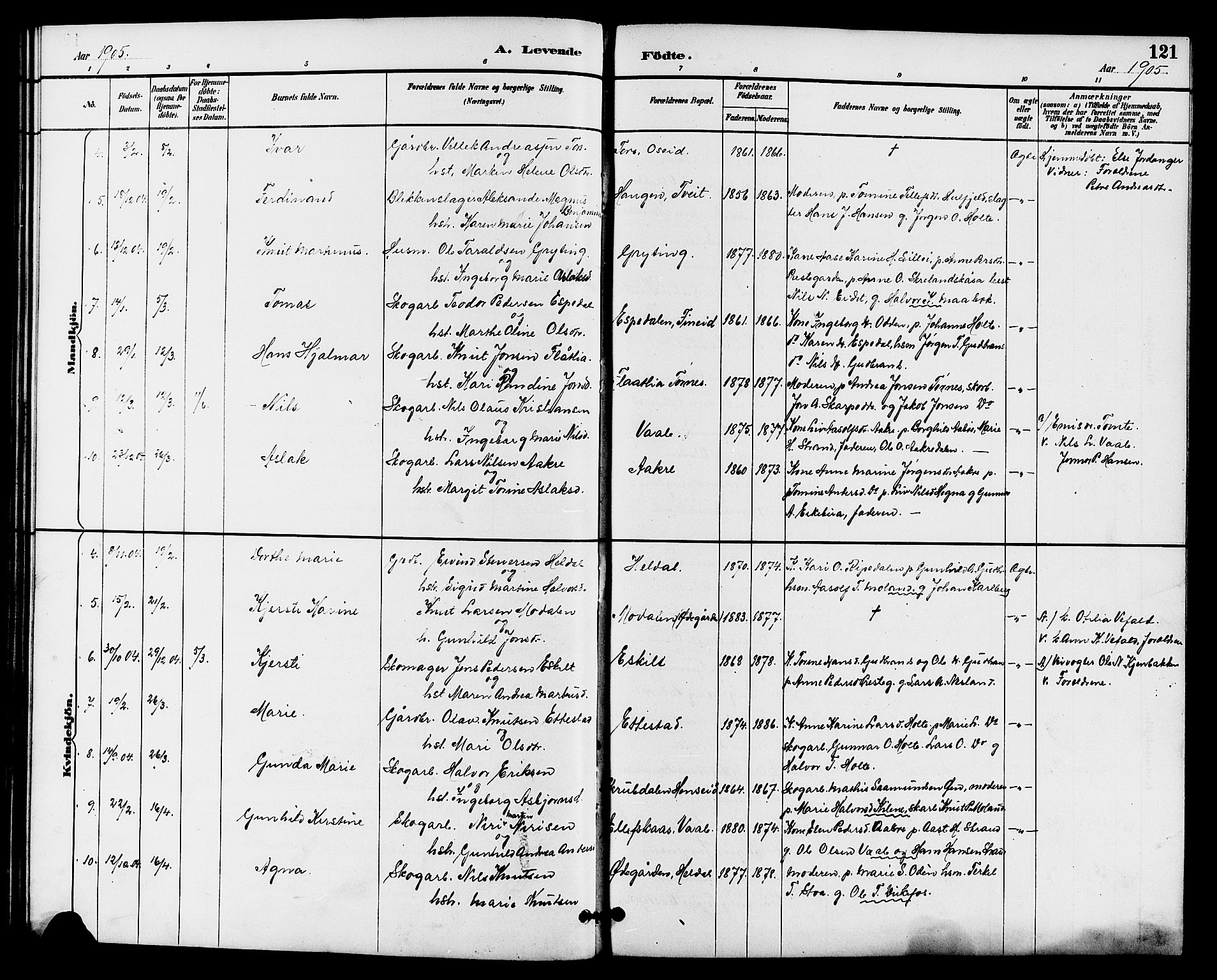 Drangedal kirkebøker, SAKO/A-258/G/Ga/L0003: Parish register (copy) no. I 3, 1887-1906, p. 121