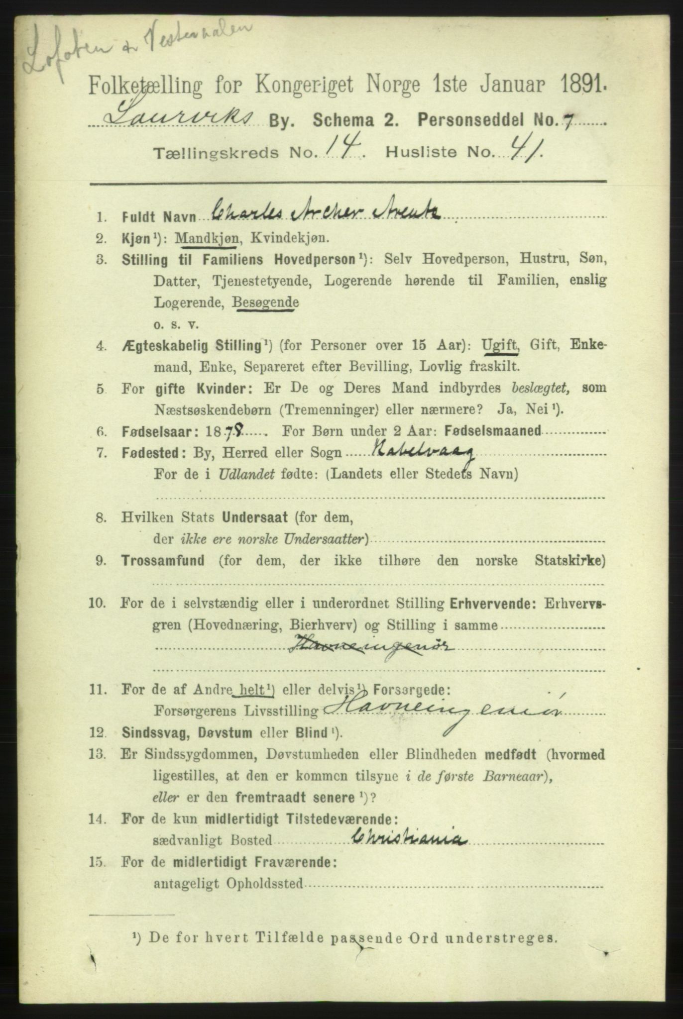 RA, 1891 census for 0707 Larvik, 1891, p. 11310