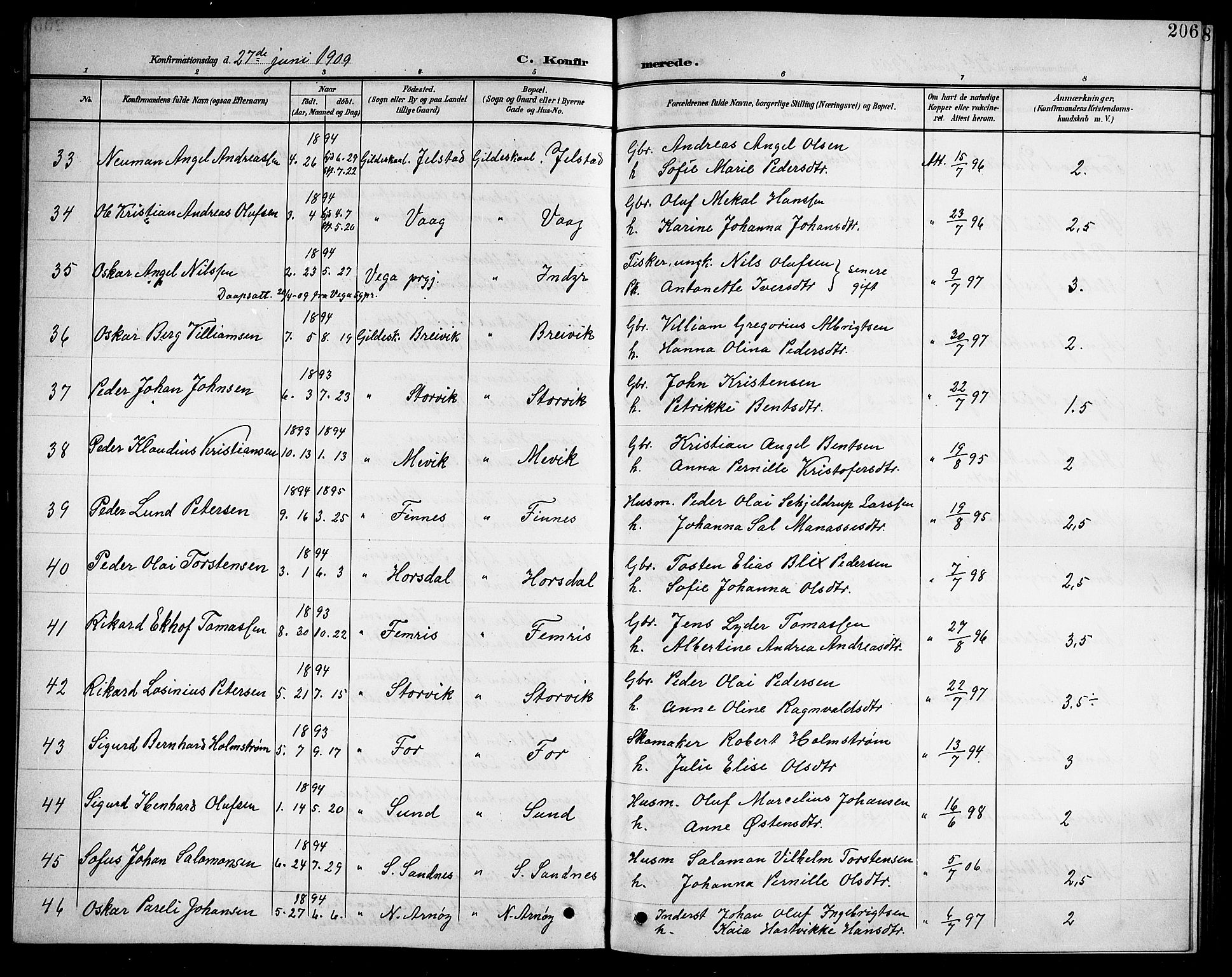 Ministerialprotokoller, klokkerbøker og fødselsregistre - Nordland, AV/SAT-A-1459/805/L0109: Parish register (copy) no. 805C05, 1900-1911, p. 206