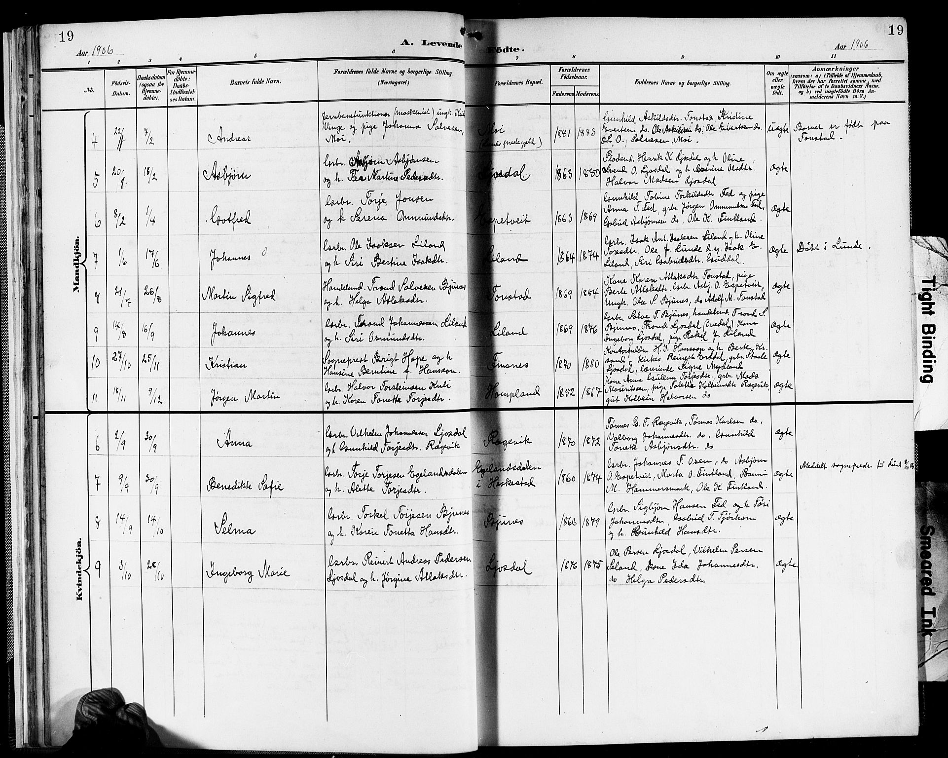 Sirdal sokneprestkontor, SAK/1111-0036/F/Fb/Fbb/L0004: Parish register (copy) no. B 4, 1895-1916, p. 19