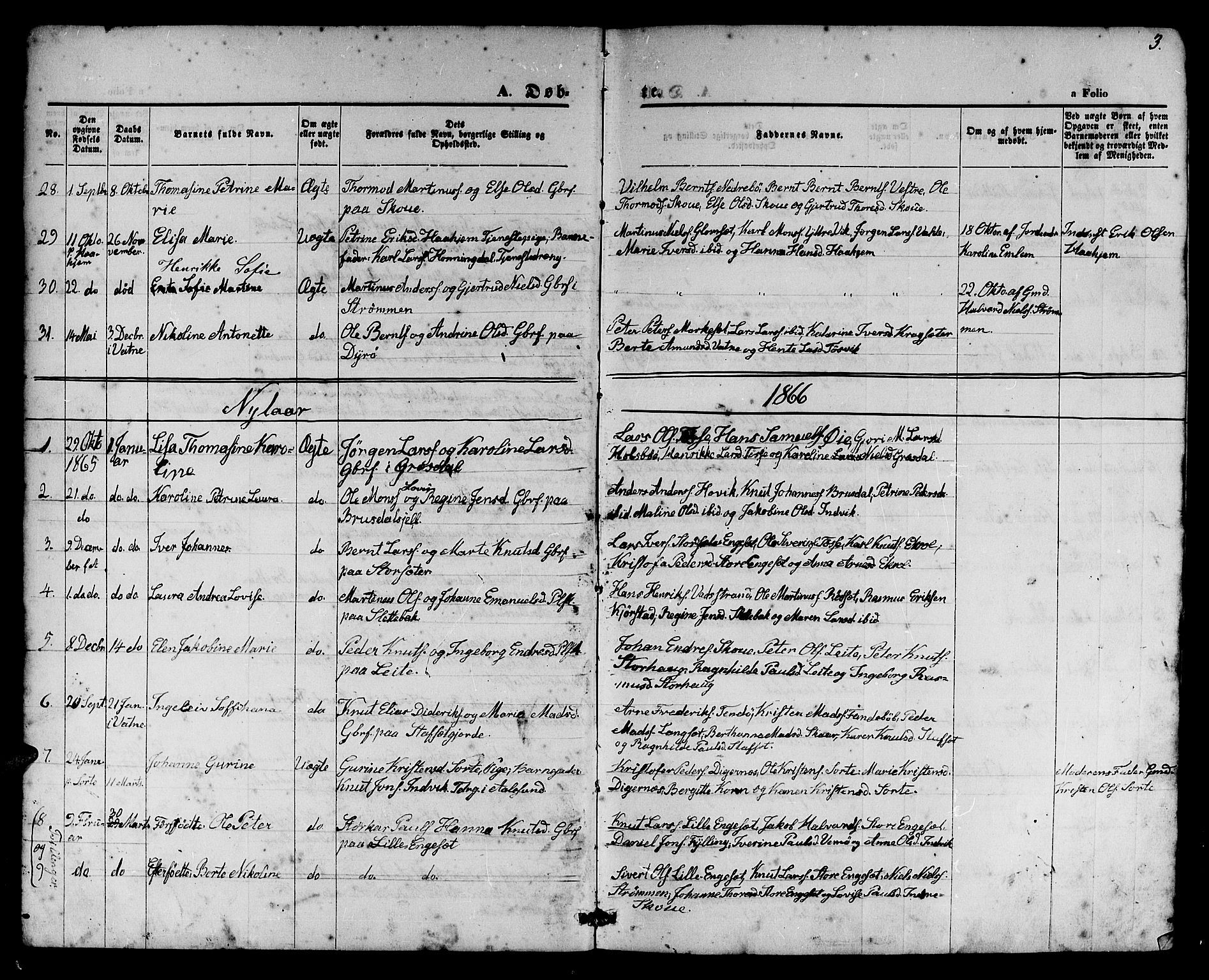 Ministerialprotokoller, klokkerbøker og fødselsregistre - Møre og Romsdal, AV/SAT-A-1454/524/L0364: Parish register (copy) no. 524C05, 1865-1879, p. 3