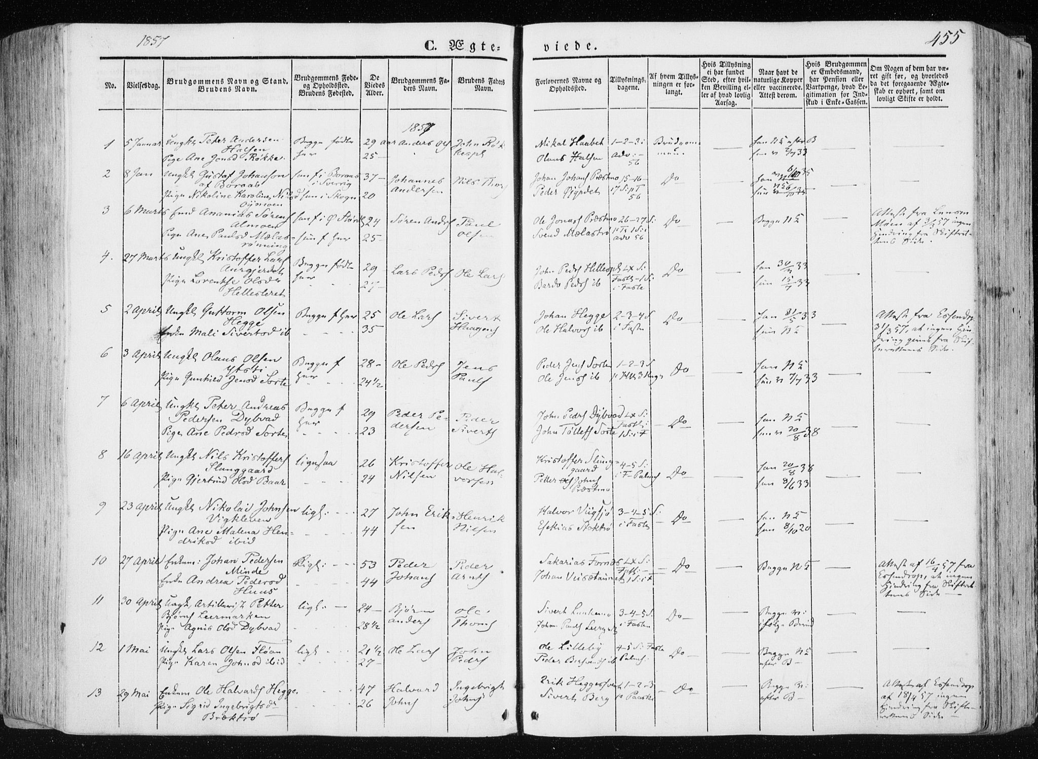 Ministerialprotokoller, klokkerbøker og fødselsregistre - Nord-Trøndelag, SAT/A-1458/709/L0074: Parish register (official) no. 709A14, 1845-1858, p. 455
