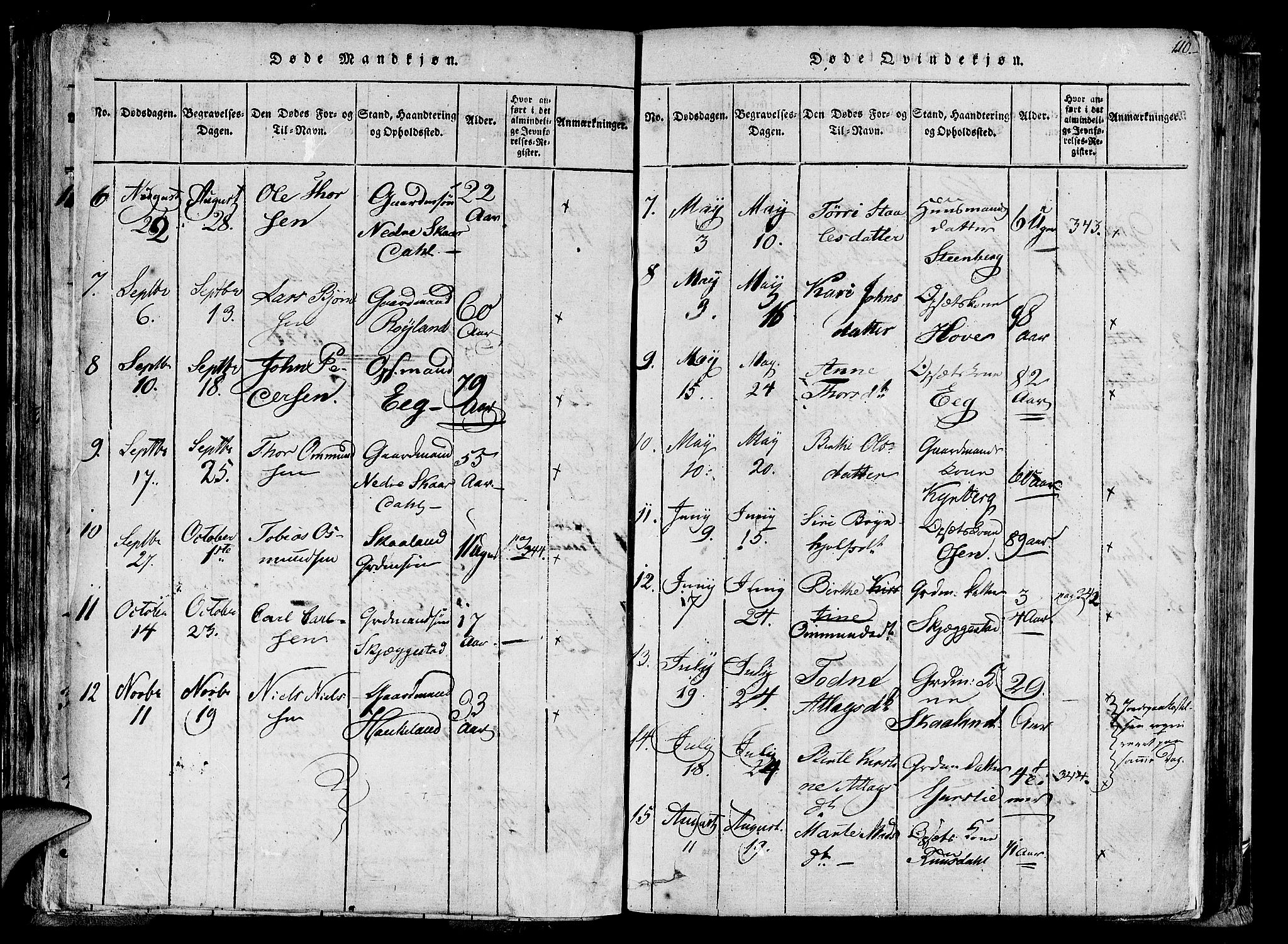 Lund sokneprestkontor, AV/SAST-A-101809/S06/L0005: Parish register (official) no. A 5, 1815-1833, p. 110