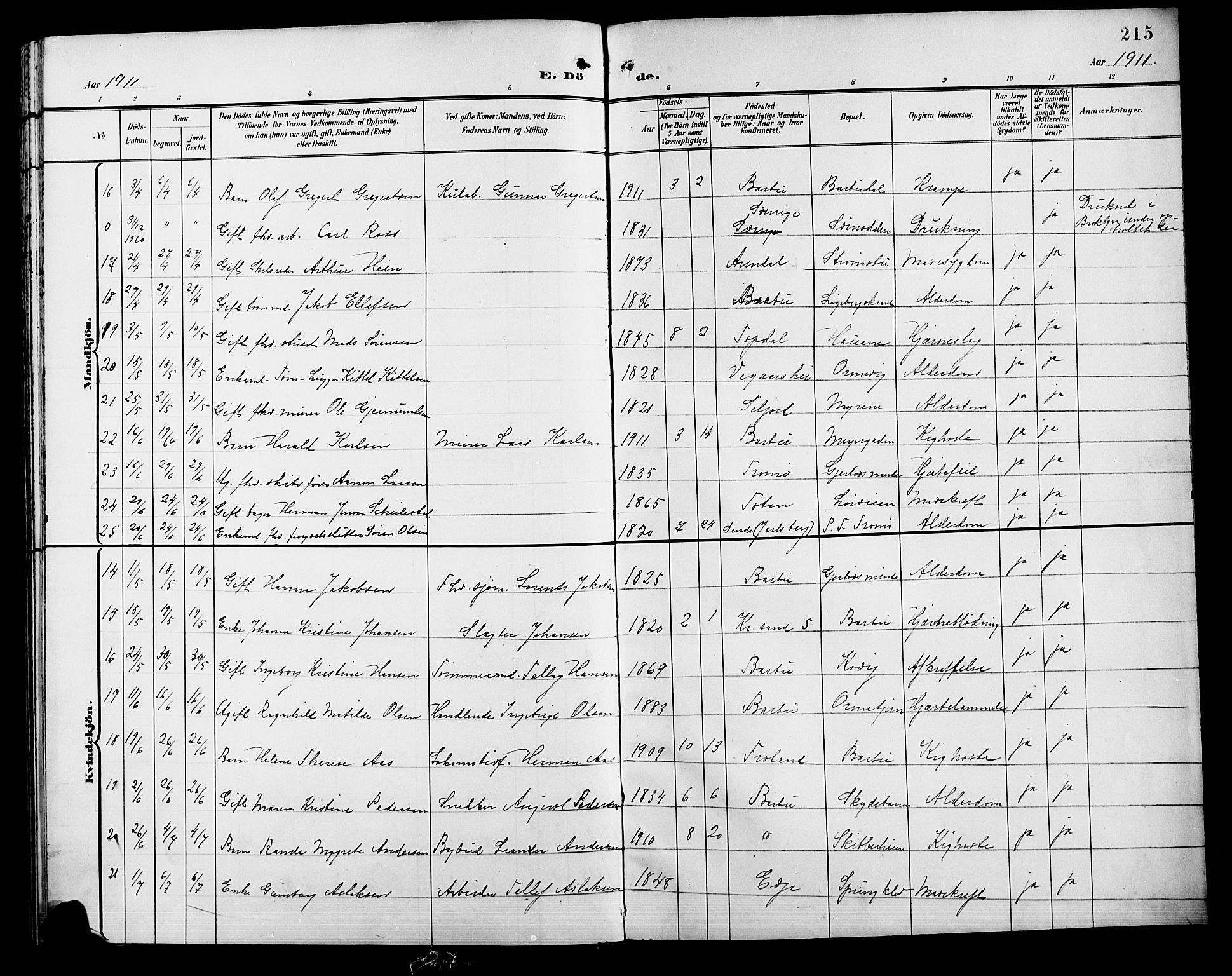 Barbu sokneprestkontor, AV/SAK-1111-0003/F/Fb/L0003: Parish register (copy) no. B 3, 1897-1911, p. 215