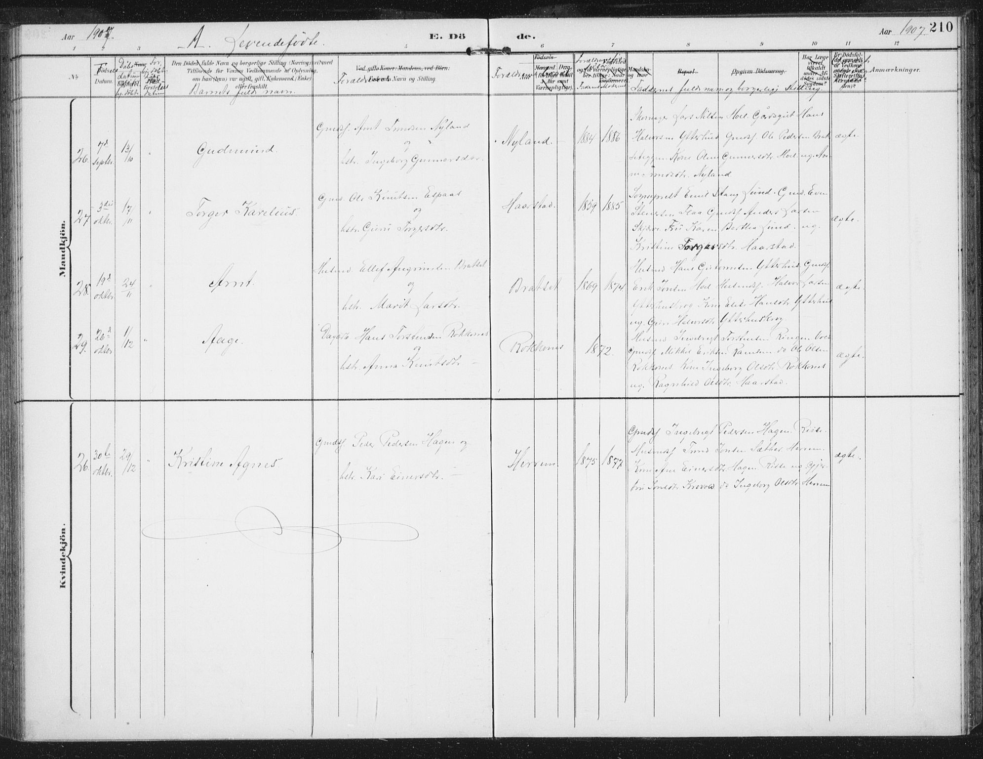 Ministerialprotokoller, klokkerbøker og fødselsregistre - Sør-Trøndelag, SAT/A-1456/674/L0872: Parish register (official) no. 674A04, 1897-1907, p. 210