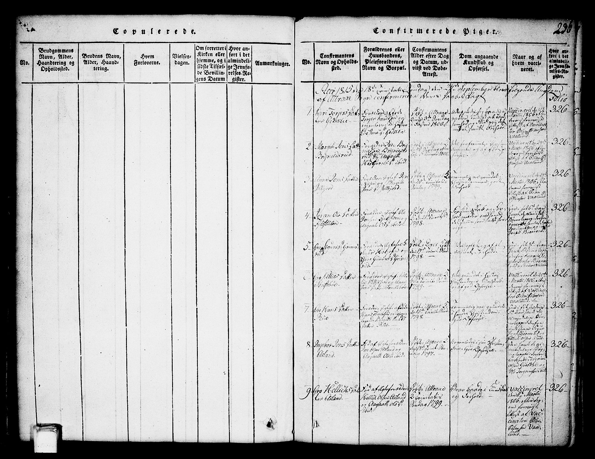 Tinn kirkebøker, SAKO/A-308/G/Ga/L0001: Parish register (copy) no. I 1, 1815-1850, p. 236