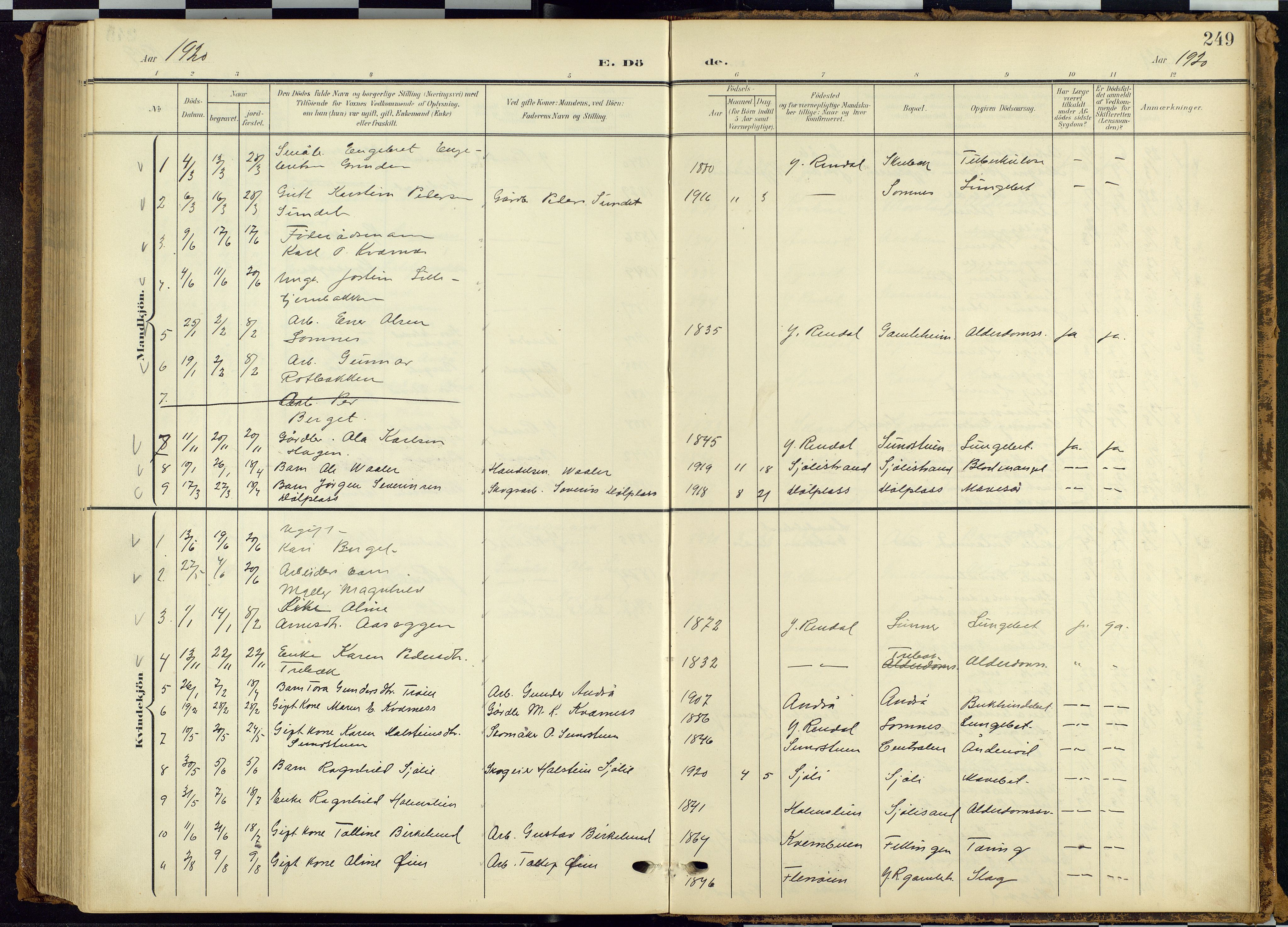 Rendalen prestekontor, SAH/PREST-054/H/Ha/Hab/L0010: Parish register (copy) no. 10, 1903-1940, p. 249