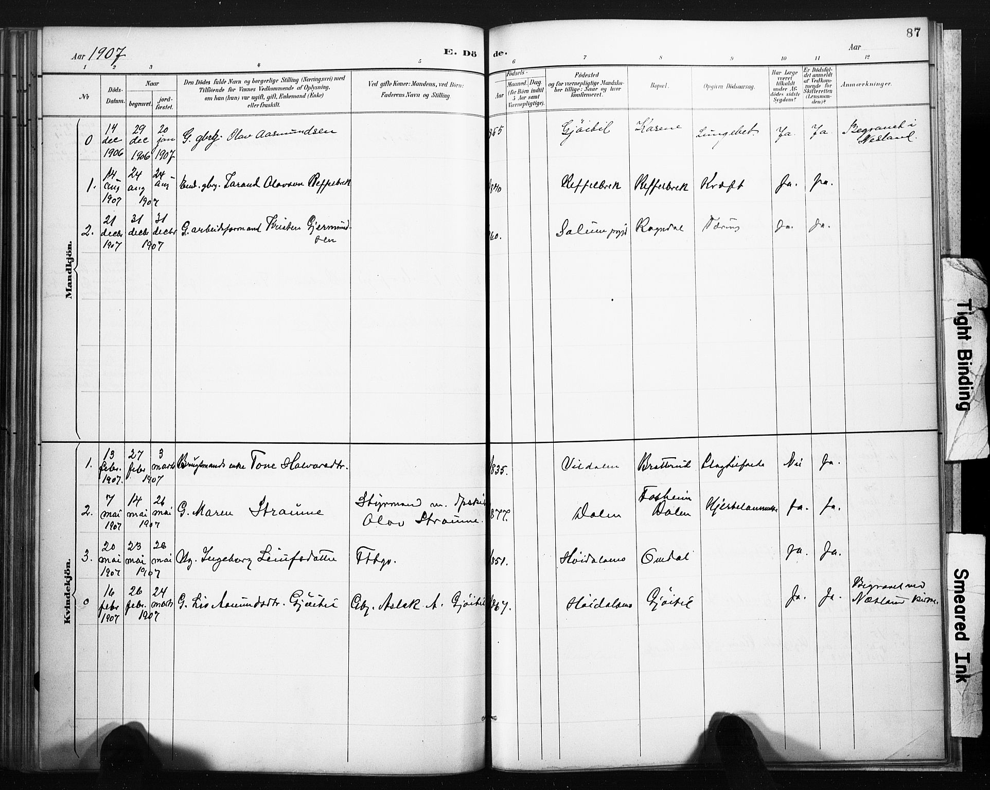 Lårdal kirkebøker, SAKO/A-284/F/Fb/L0002: Parish register (official) no. II 2, 1887-1918, p. 87