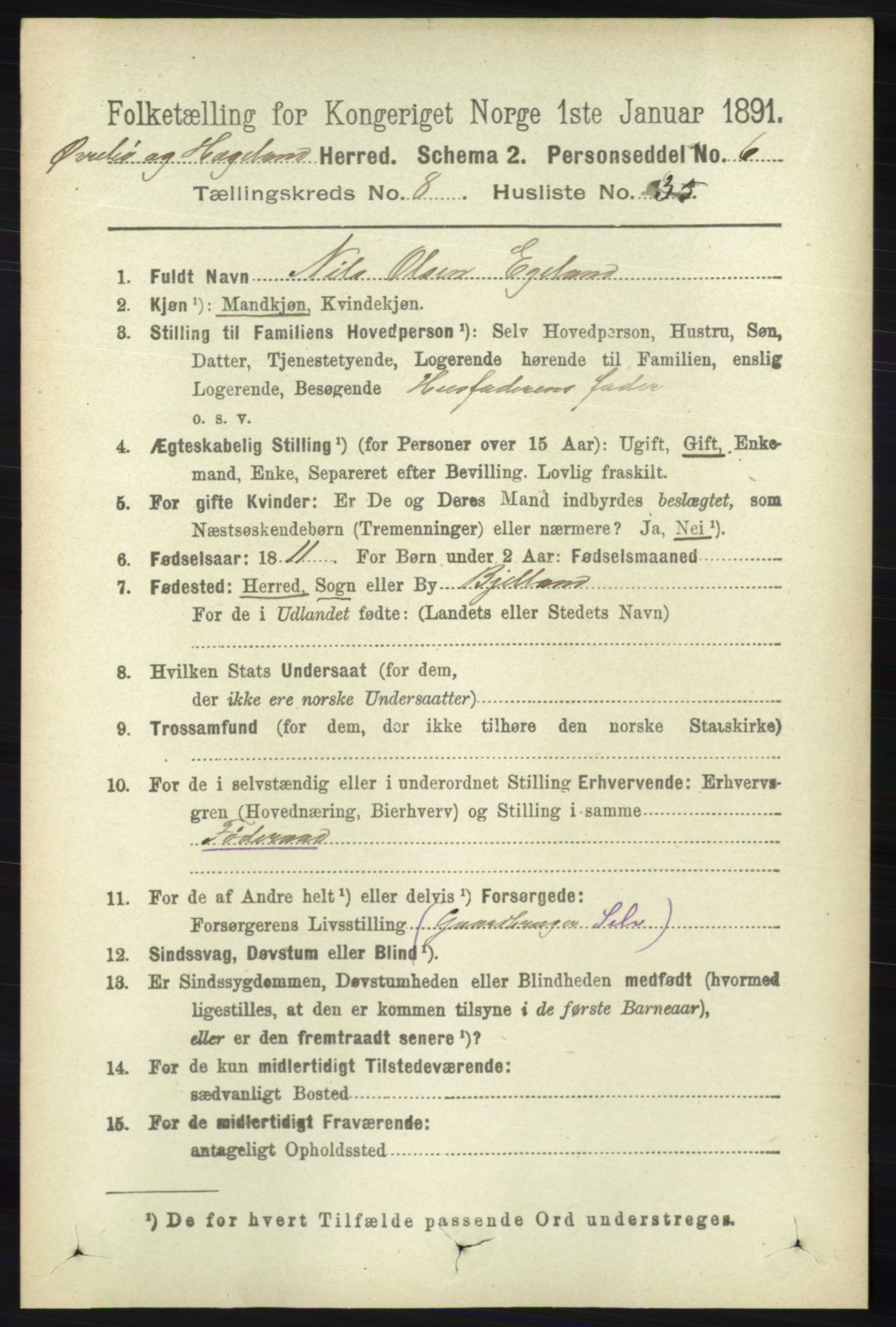 RA, 1891 census for 1016 Øvrebø og Hægeland, 1891, p. 1665