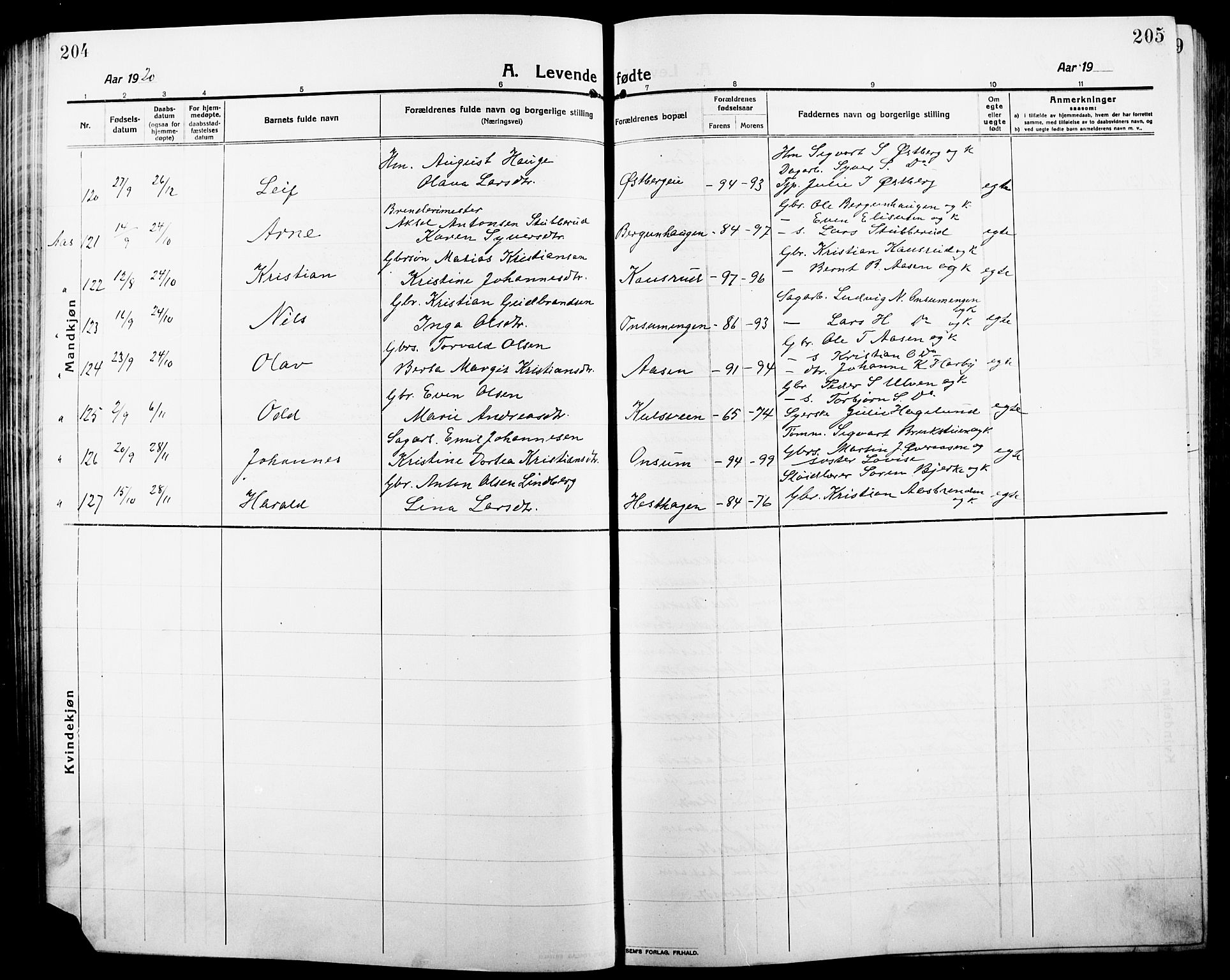 Ringsaker prestekontor, AV/SAH-PREST-014/L/La/L0018: Parish register (copy) no. 18, 1913-1922, p. 204-205