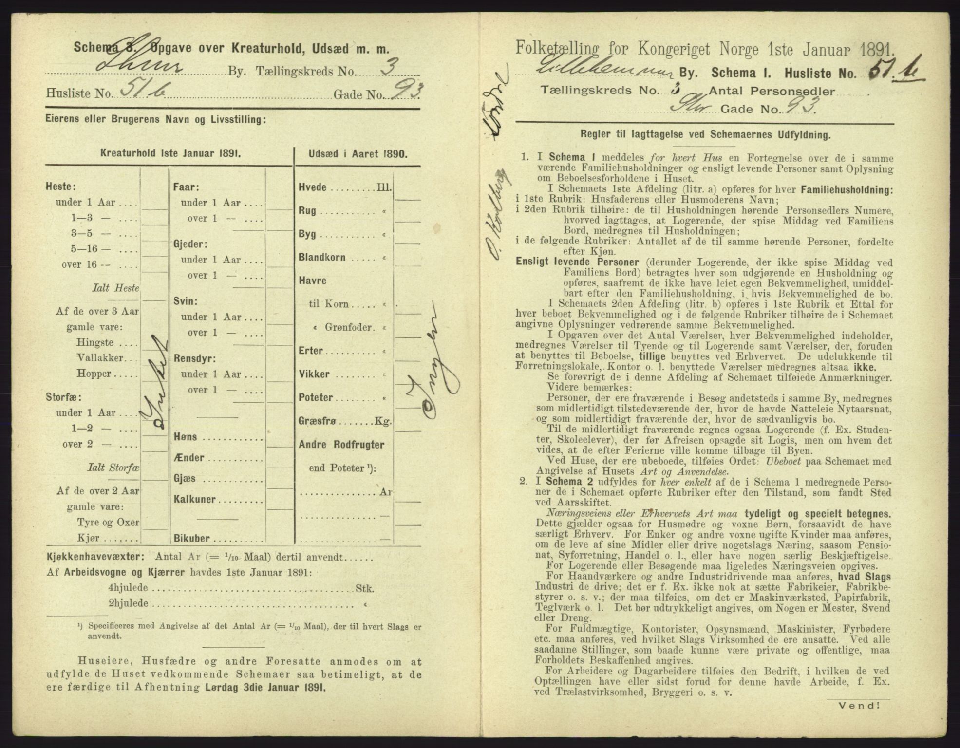 RA, 1891 census for 0501 Lillehammer, 1891, p. 521