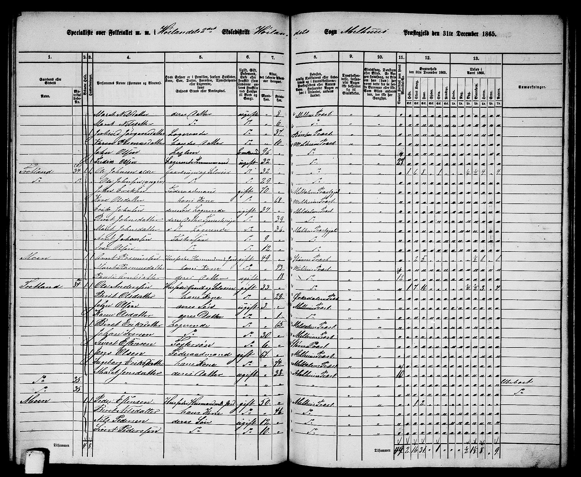 RA, 1865 census for Melhus, 1865, p. 197