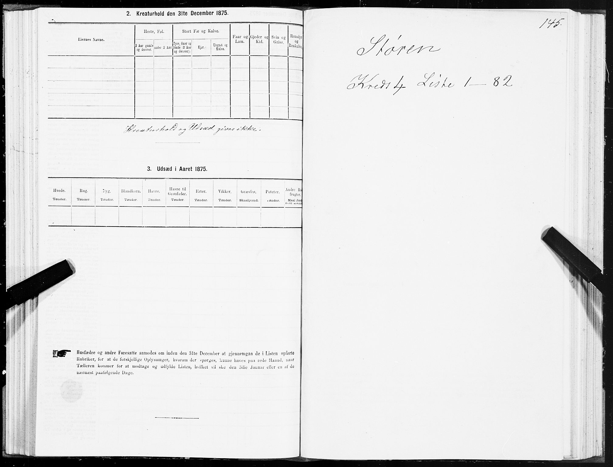 SAT, 1875 census for 1648P Støren, 1875, p. 2145