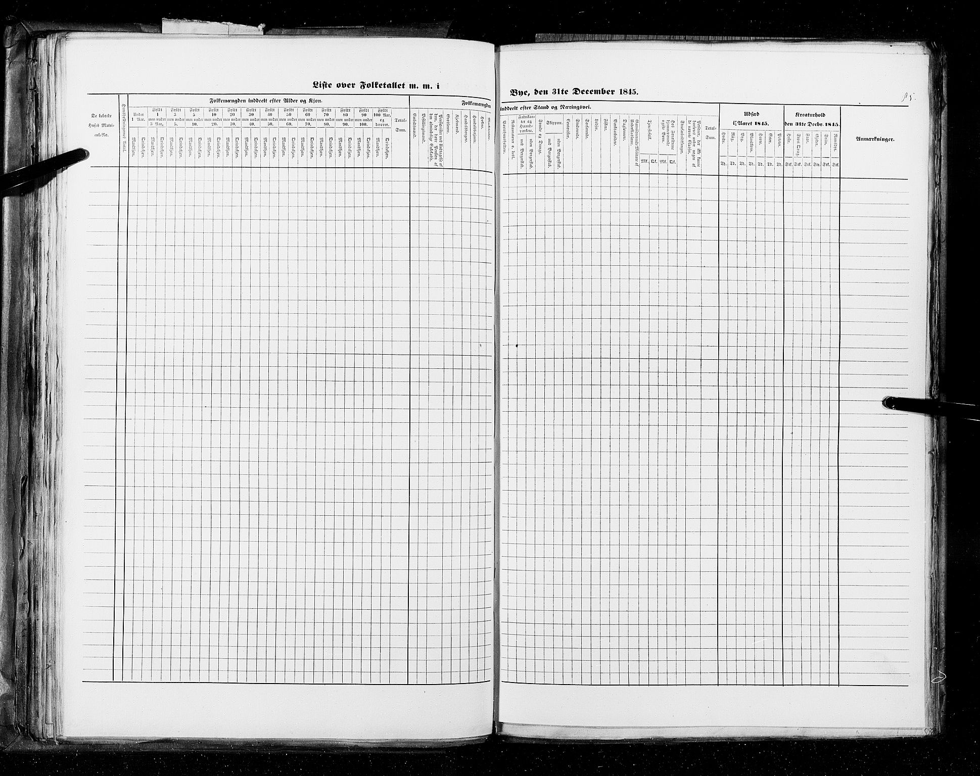 RA, Census 1845, vol. 11: Cities, 1845, p. 85