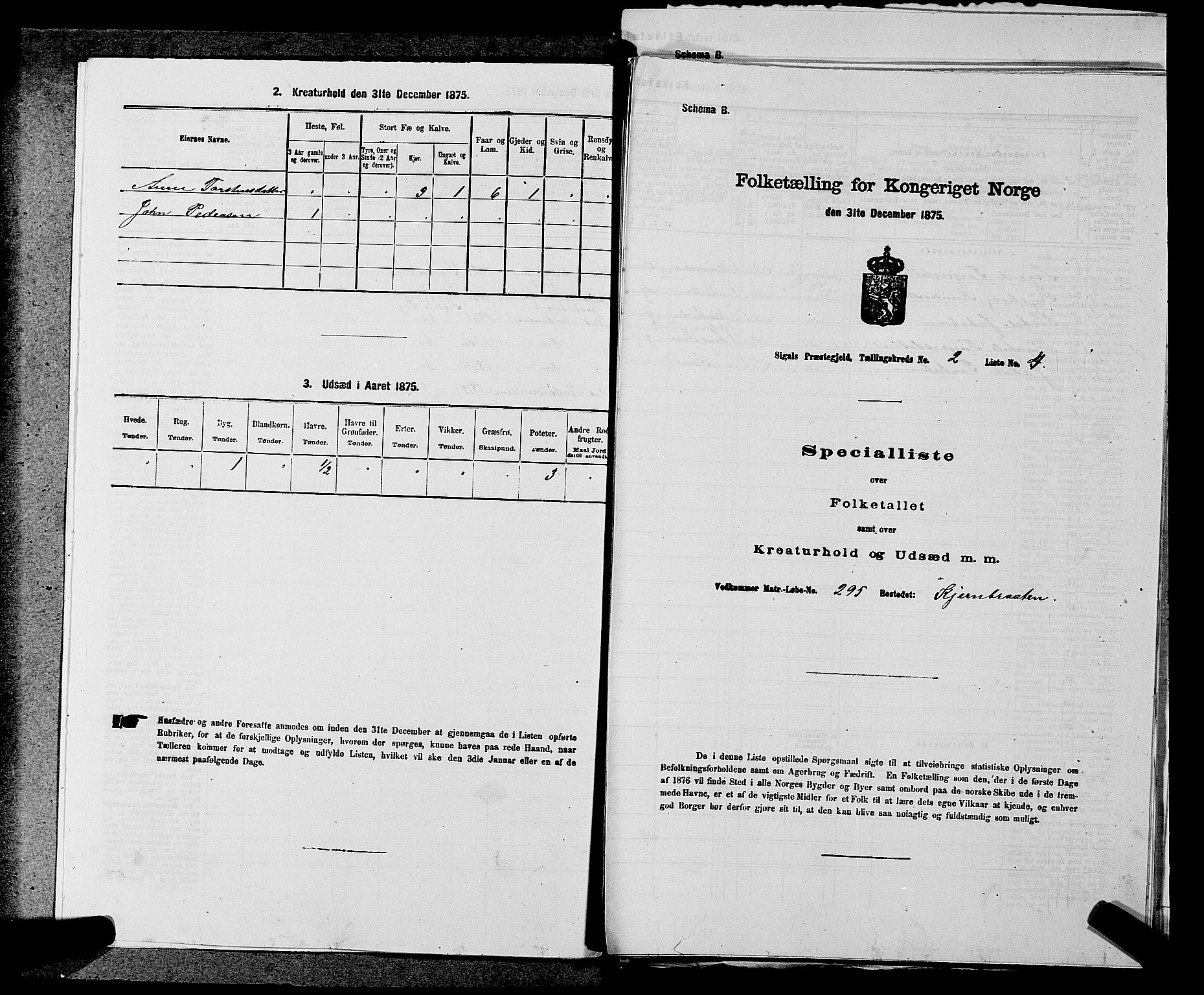 SAKO, 1875 census for 0621P Sigdal, 1875, p. 2012