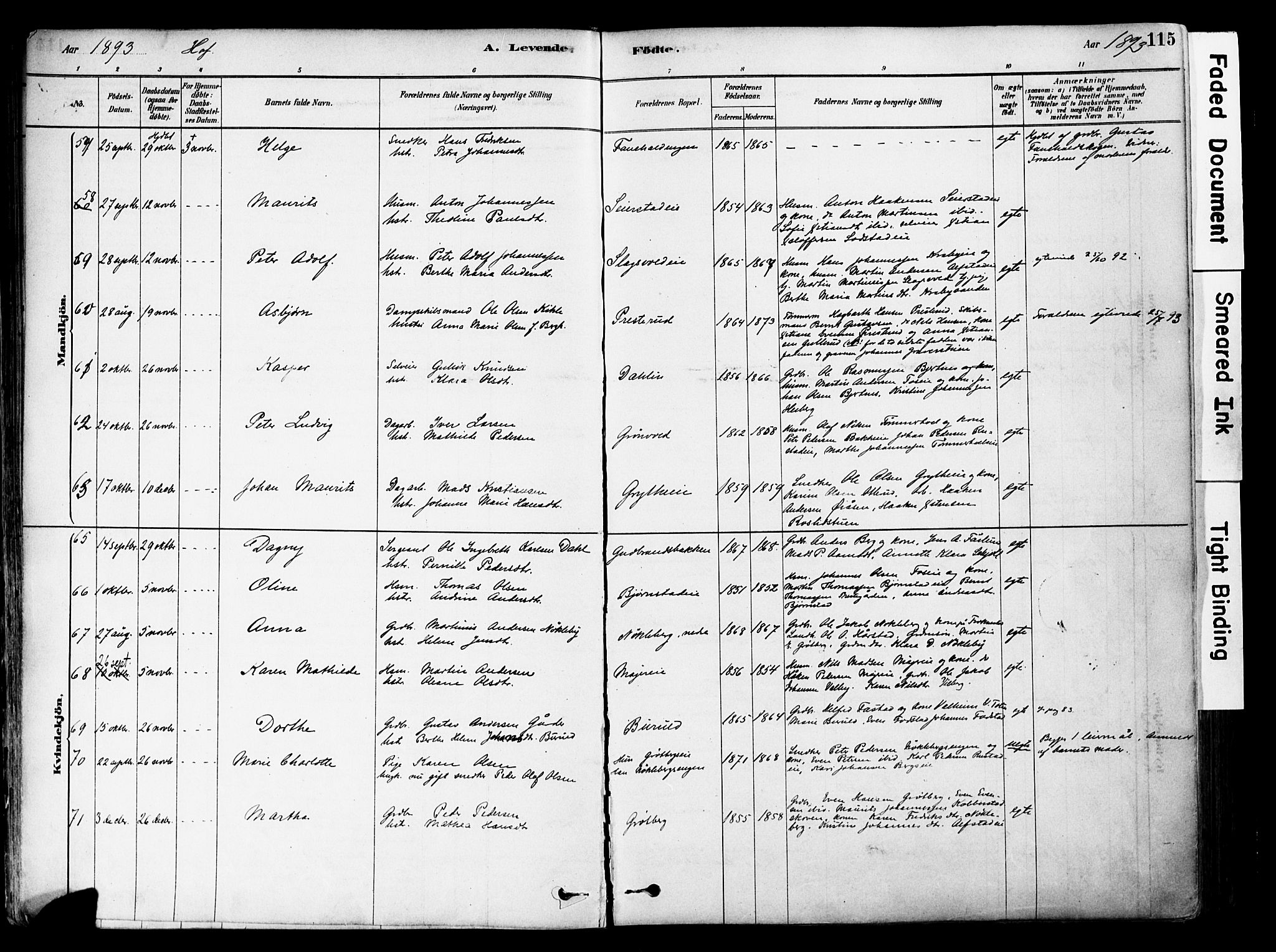 Østre Toten prestekontor, AV/SAH-PREST-104/H/Ha/Haa/L0006: Parish register (official) no. 6 /1, 1878-1896, p. 115