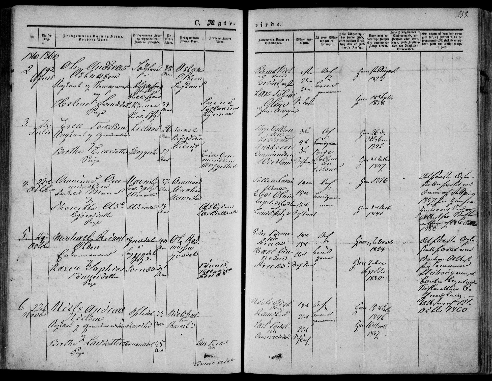 Bakke sokneprestkontor, AV/SAK-1111-0002/F/Fa/Faa/L0006: Parish register (official) no. A 6, 1855-1877, p. 253