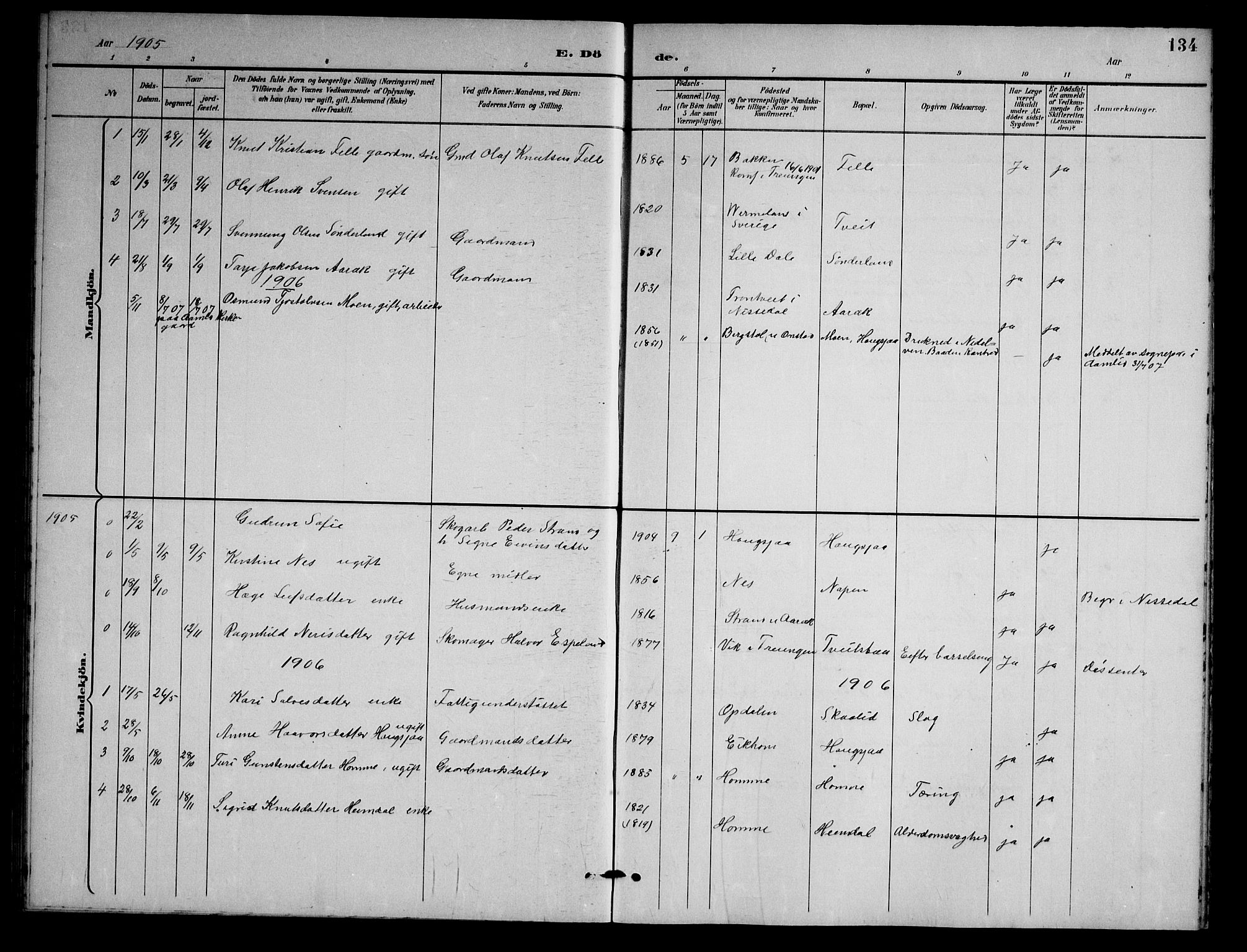 Nissedal kirkebøker, AV/SAKO-A-288/G/Gb/L0003: Parish register (copy) no. II 3, 1893-1928, p. 134