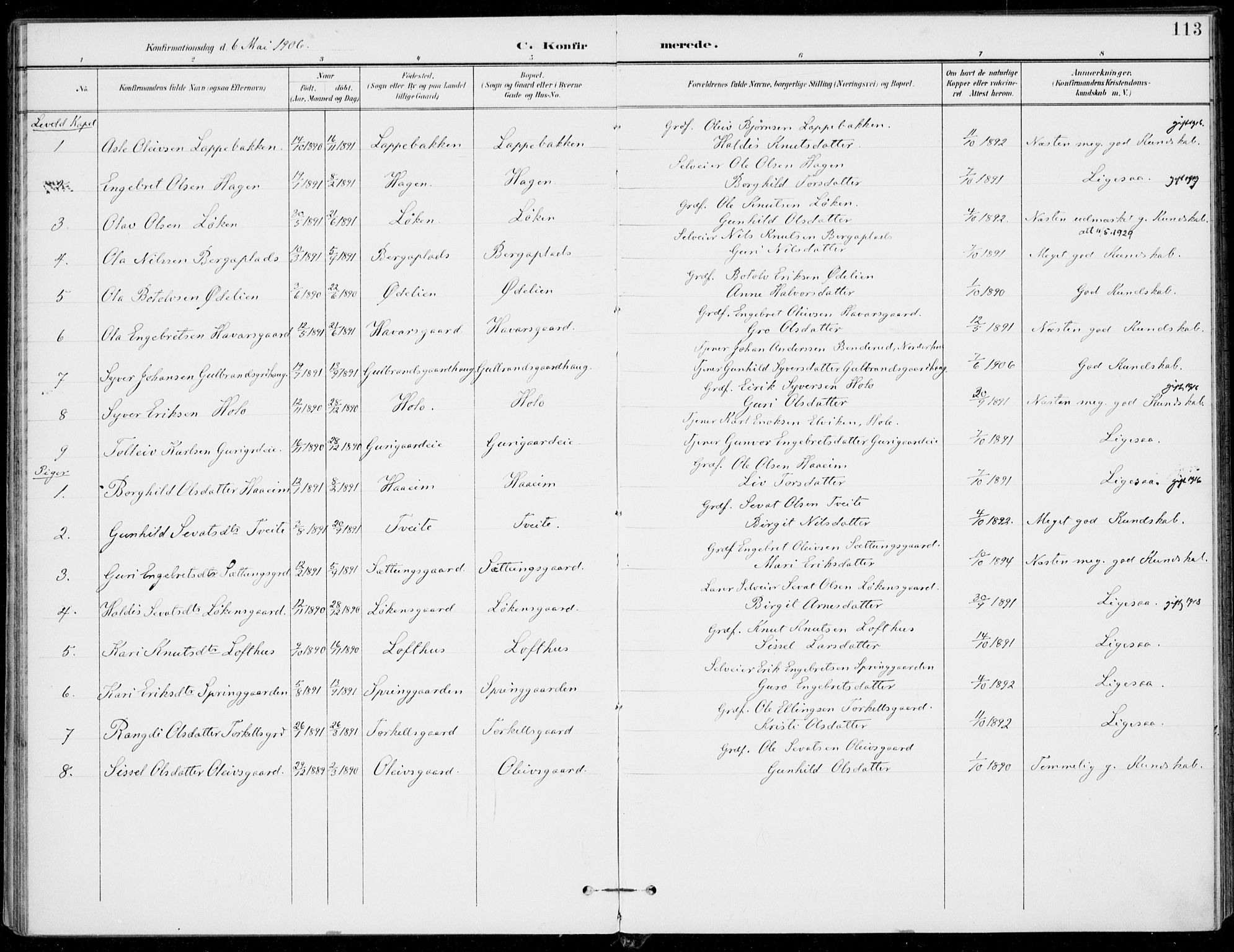 Ål kirkebøker, AV/SAKO-A-249/F/Fa/L0009: Parish register (official) no. I 9, 1897-1915, p. 113