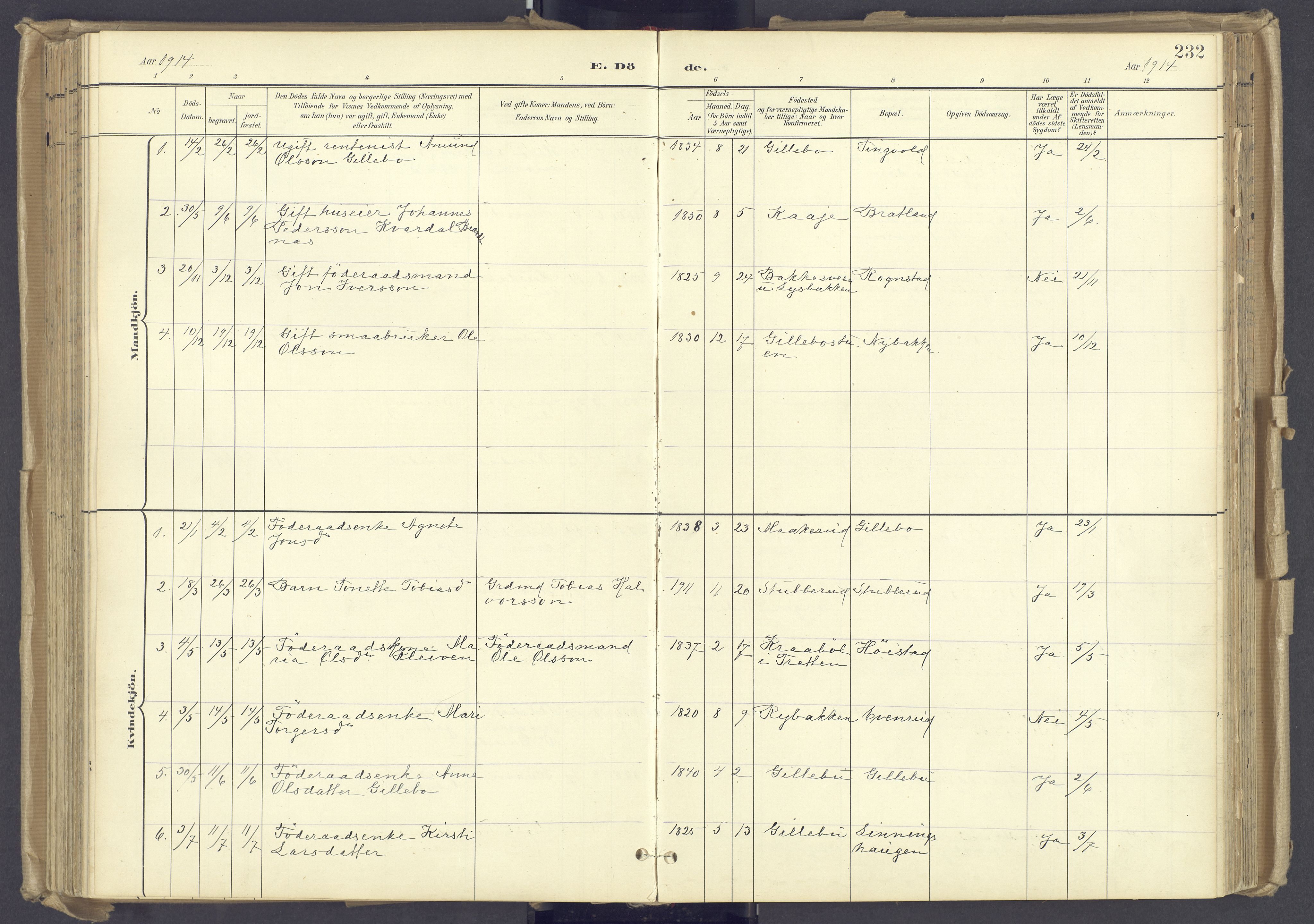 Øyer prestekontor, AV/SAH-PREST-084/H/Ha/Haa/L0012: Parish register (official) no. 12, 1897-1920, p. 232