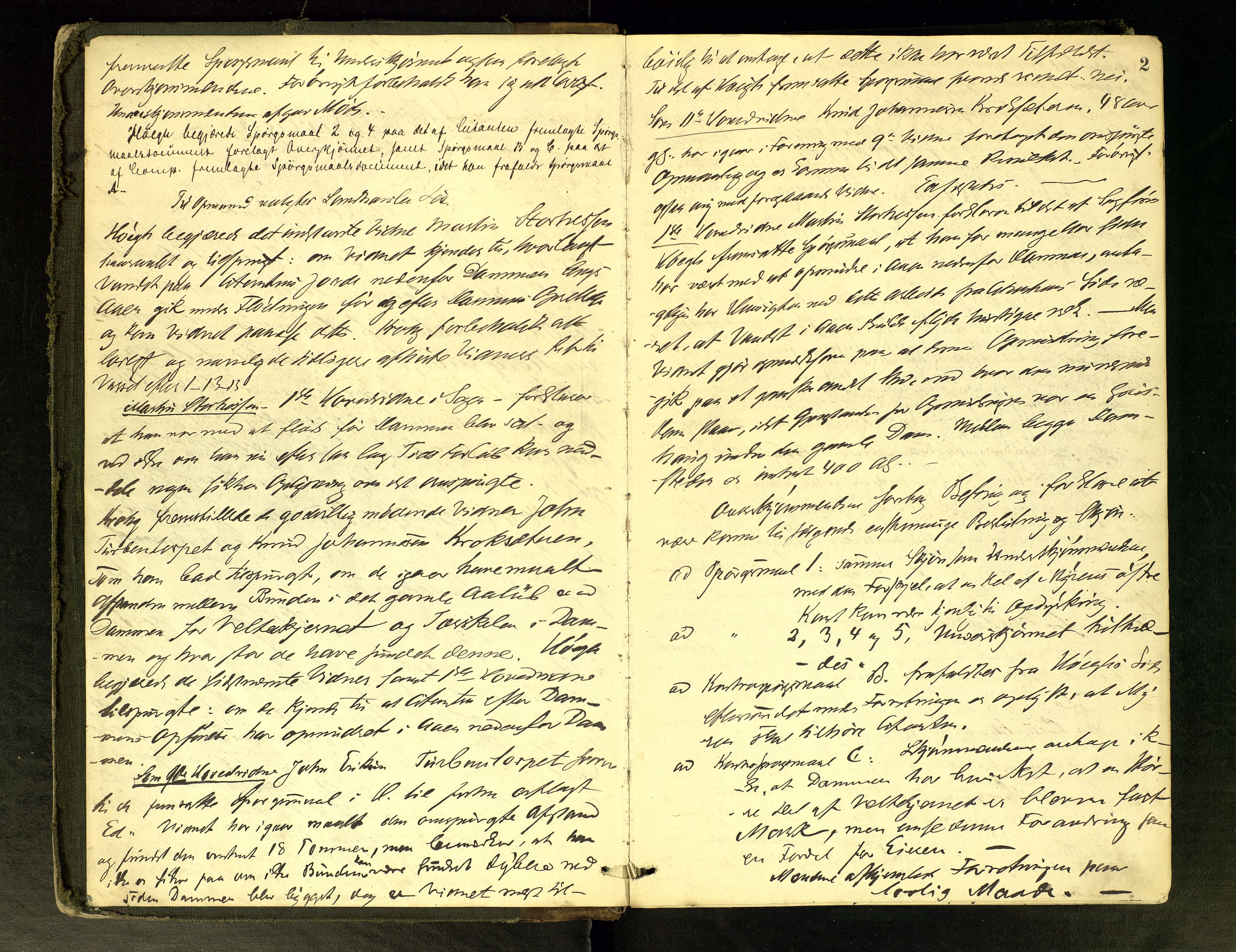 Solør tingrett, AV/SAH-TING-008/G/Gc/Gca/L0020: Ekstrarettsprotokoll, 1881-1886, p. 2