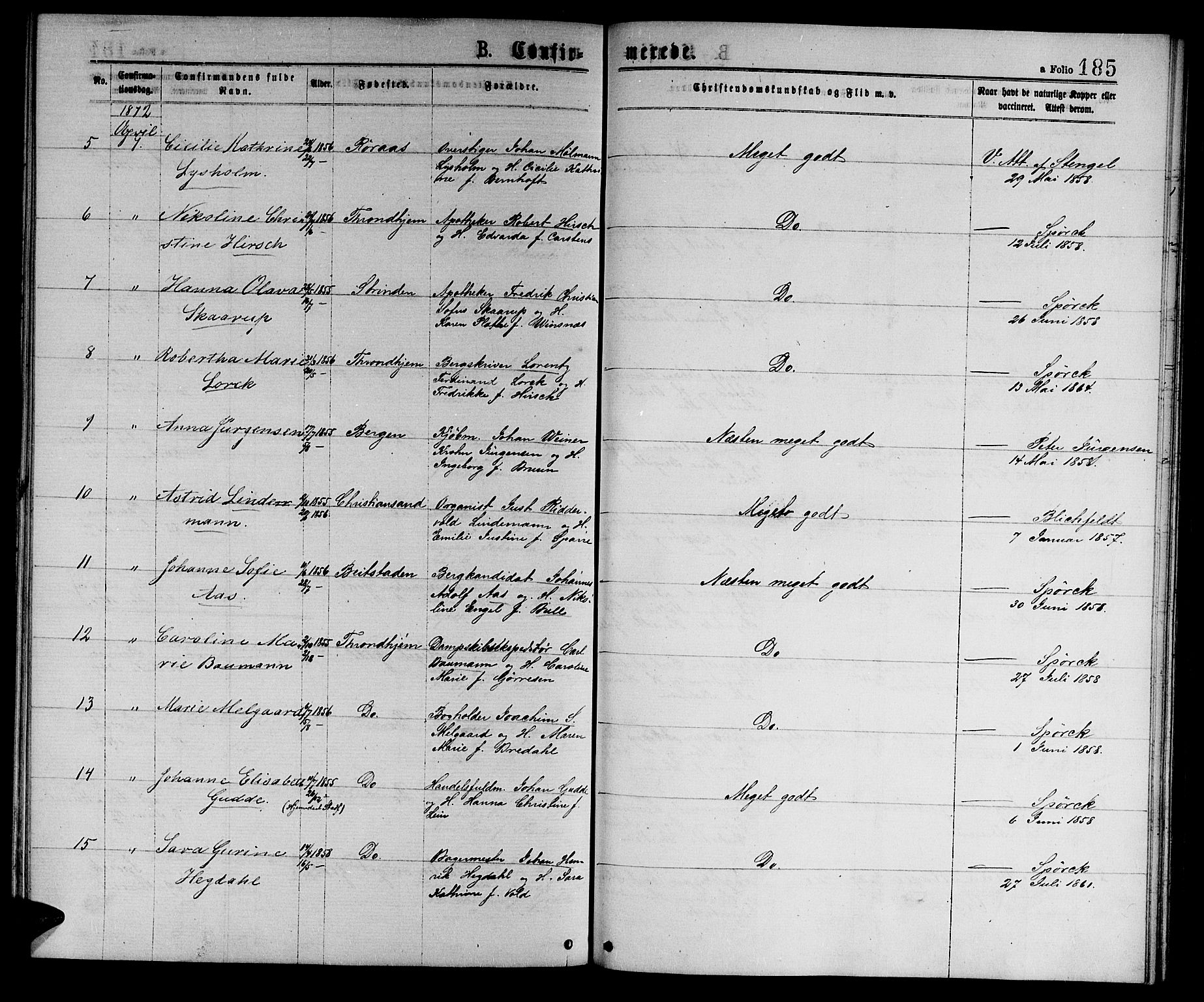 Ministerialprotokoller, klokkerbøker og fødselsregistre - Sør-Trøndelag, AV/SAT-A-1456/601/L0088: Parish register (copy) no. 601C06, 1870-1878, p. 185