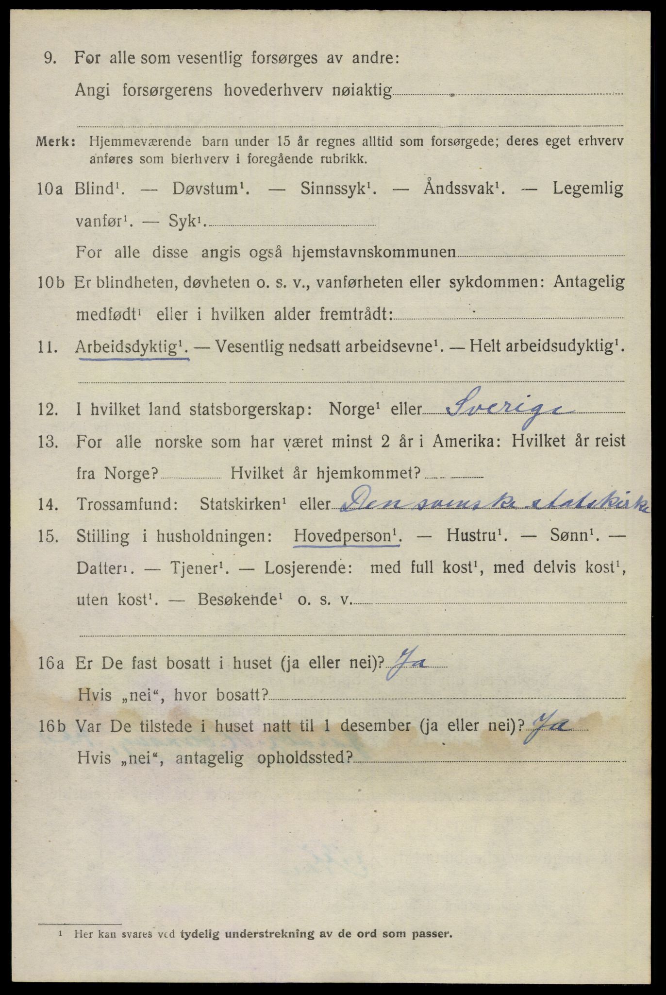 SAO, 1920 census for Nes, 1920, p. 13729