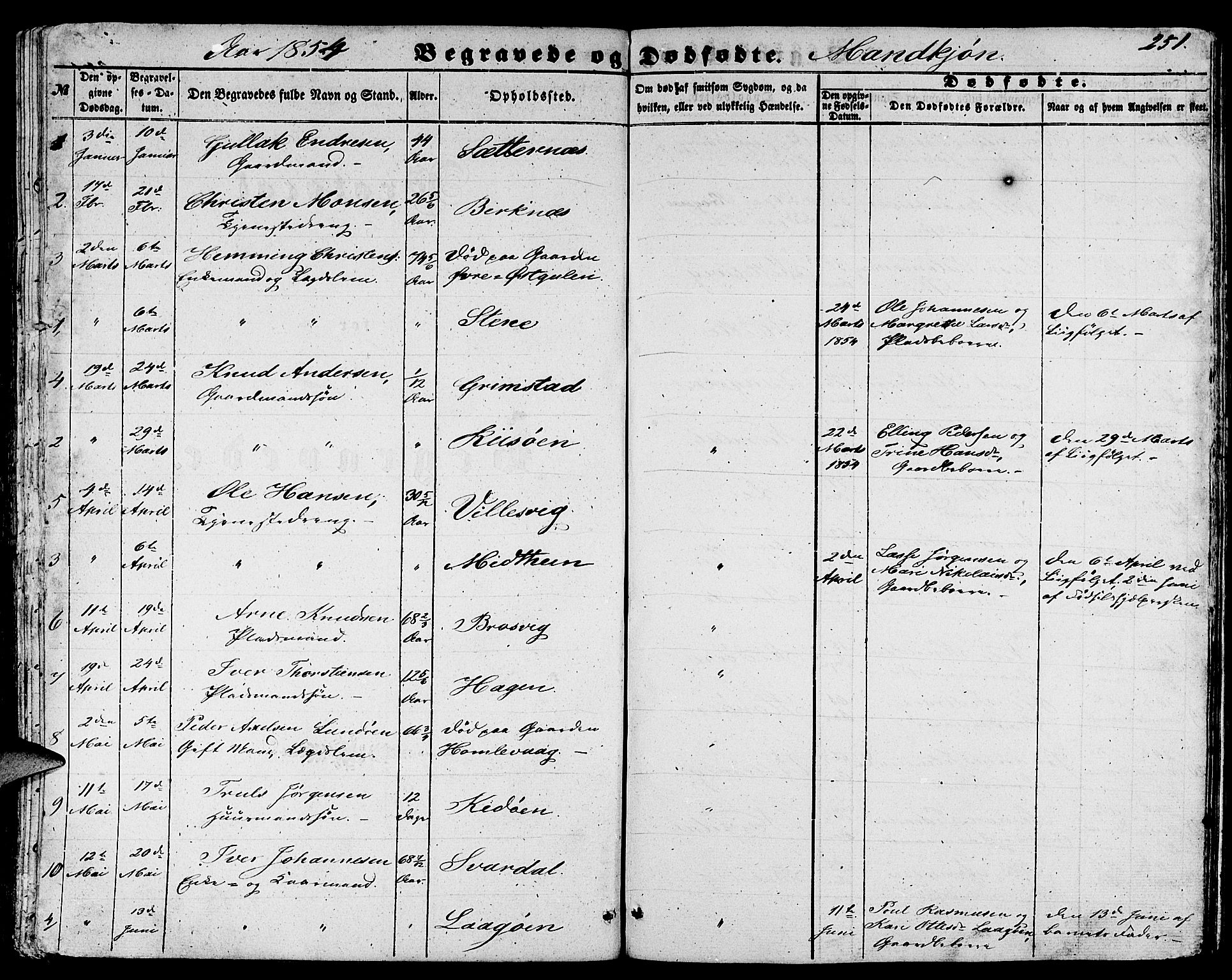 Gulen sokneprestembete, AV/SAB-A-80201/H/Hab/Habb/L0001: Parish register (copy) no. B 1, 1854-1866, p. 251