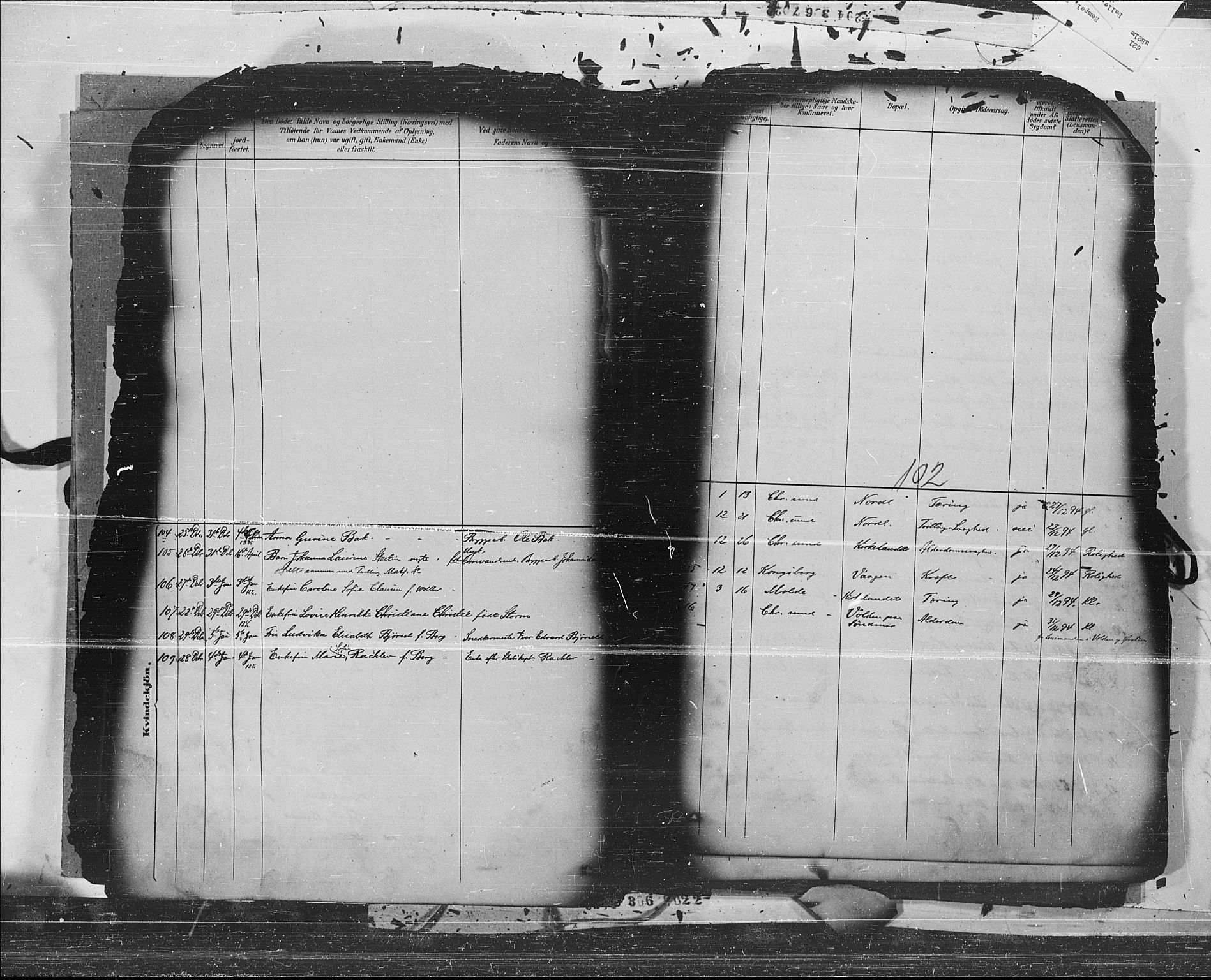 Ministerialprotokoller, klokkerbøker og fødselsregistre - Møre og Romsdal, AV/SAT-A-1454/572/L0853: Parish register (official) no. 572A16, 1880-1901, p. 102