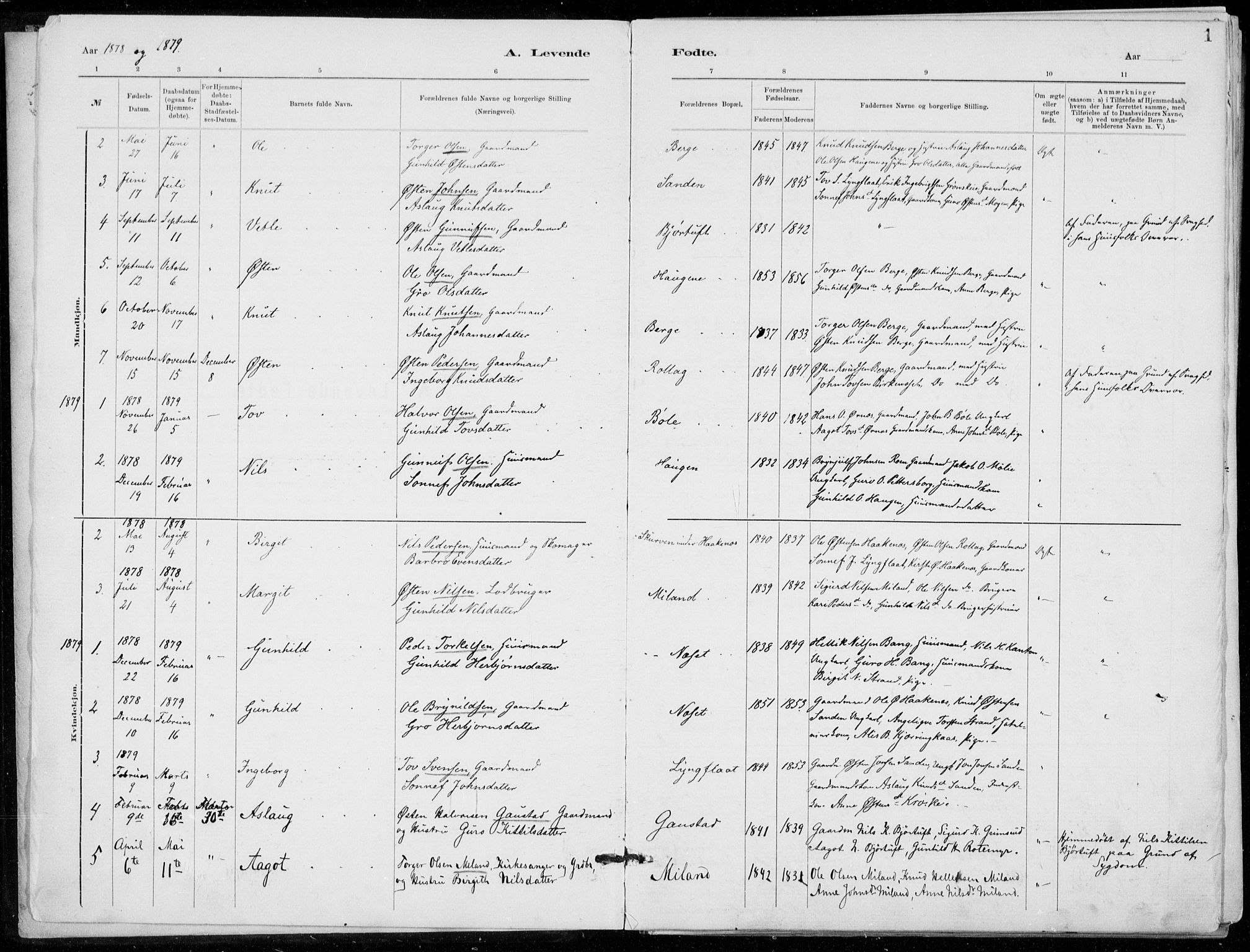 Tinn kirkebøker, SAKO/A-308/F/Fb/L0002: Parish register (official) no. II 2, 1878-1917, p. 1