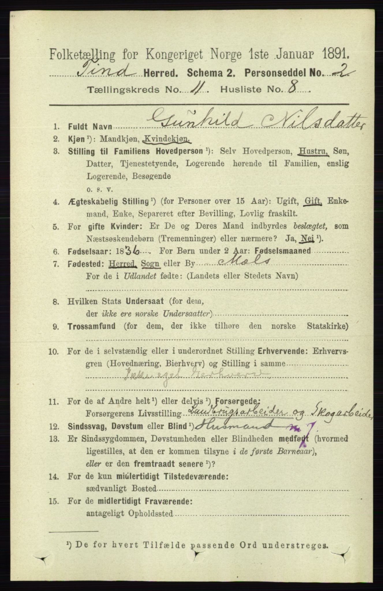 RA, 1891 census for 0826 Tinn, 1891, p. 2163