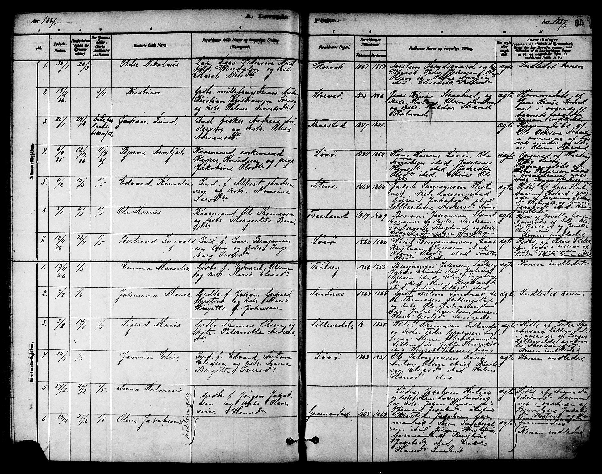 Ministerialprotokoller, klokkerbøker og fødselsregistre - Nord-Trøndelag, AV/SAT-A-1458/784/L0672: Parish register (official) no. 784A07, 1880-1887, p. 65