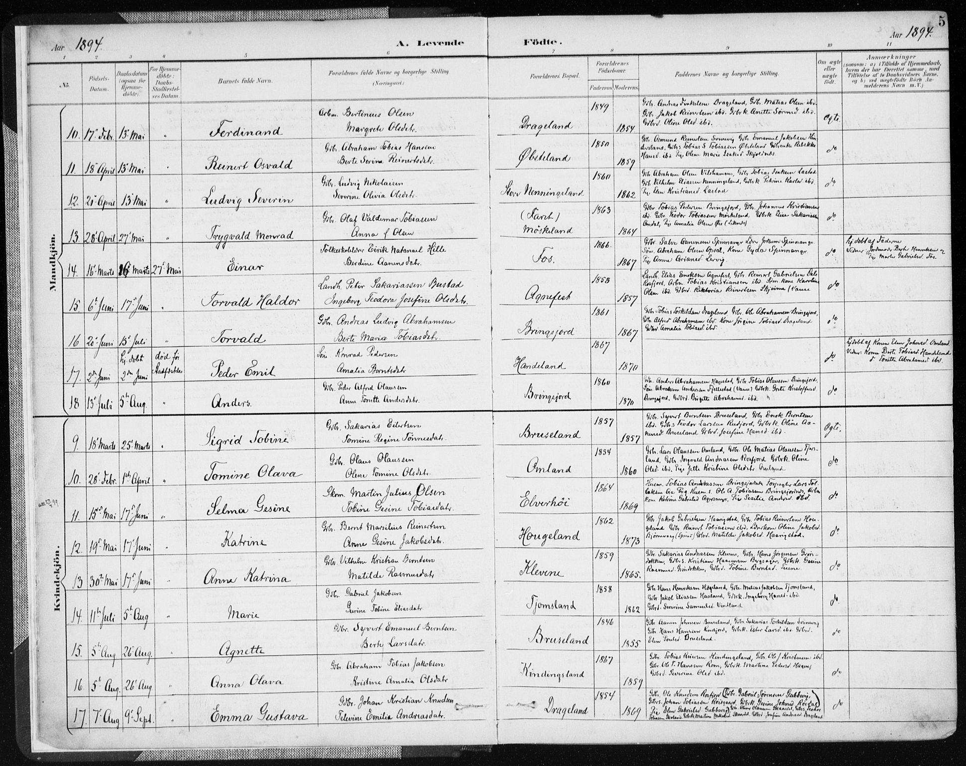 Lyngdal sokneprestkontor, AV/SAK-1111-0029/F/Fa/Fac/L0012: Parish register (official) no. A 12, 1894-1918, p. 5