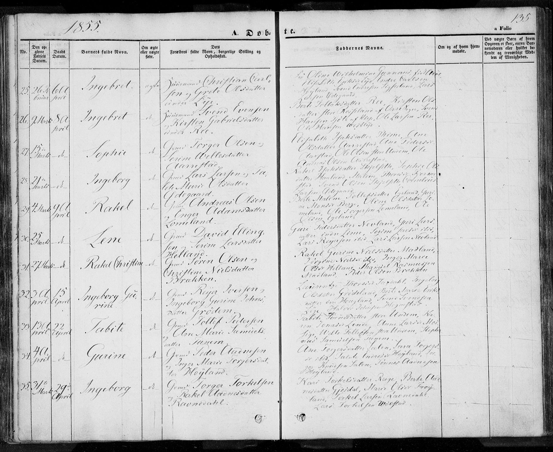 Lye sokneprestkontor, AV/SAST-A-101794/001/30BA/L0005: Parish register (official) no. A 5.1, 1842-1855, p. 135