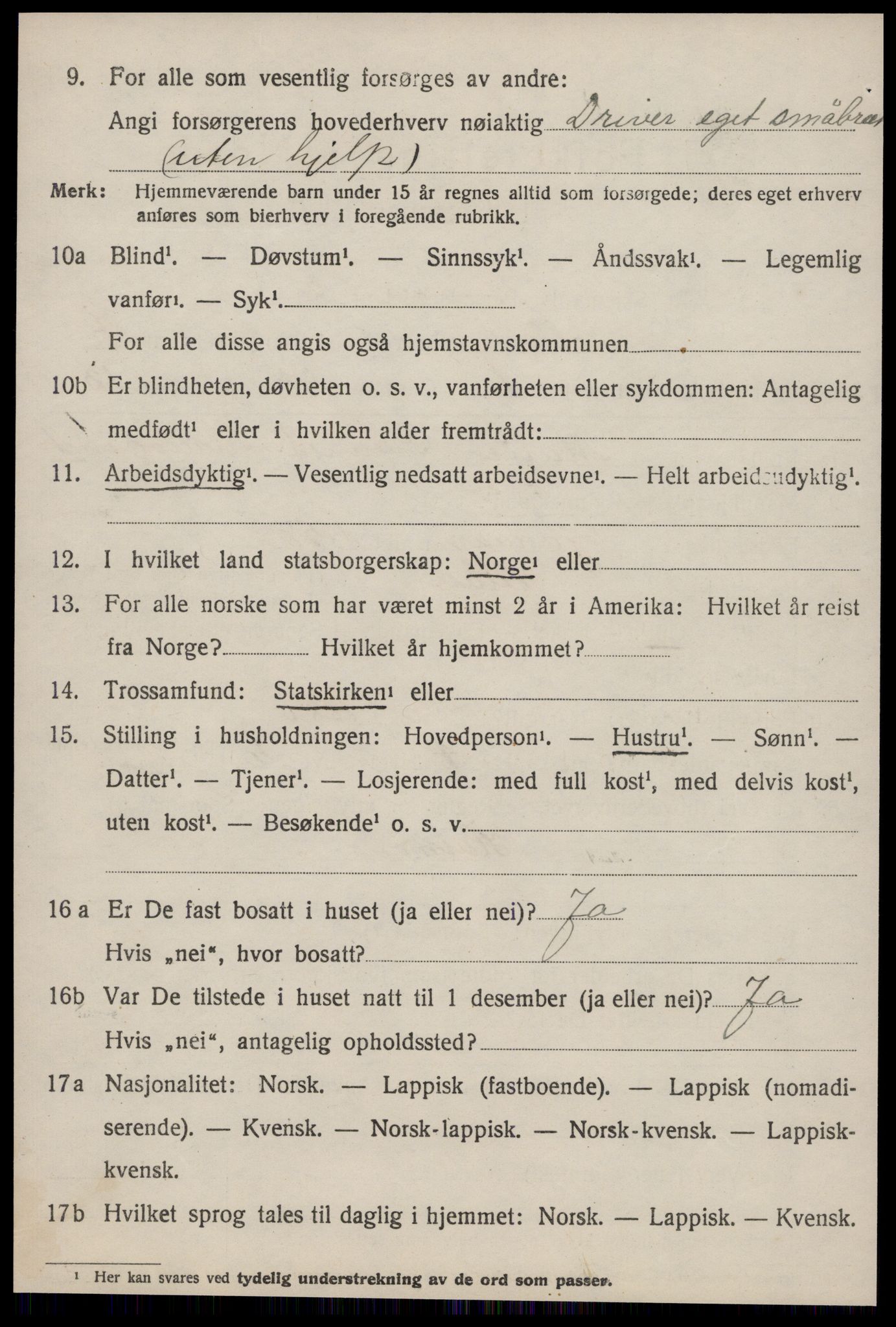 SAT, 1920 census for Selbu, 1920, p. 3887