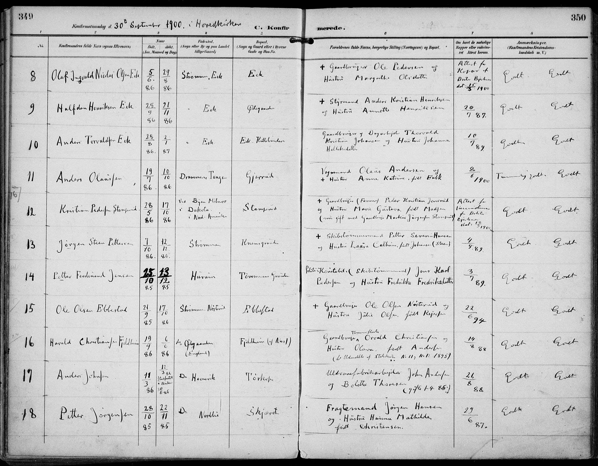 Strømm kirkebøker, AV/SAKO-A-322/F/Fa/L0005: Parish register (official) no. I 5, 1898-1919, p. 349-350