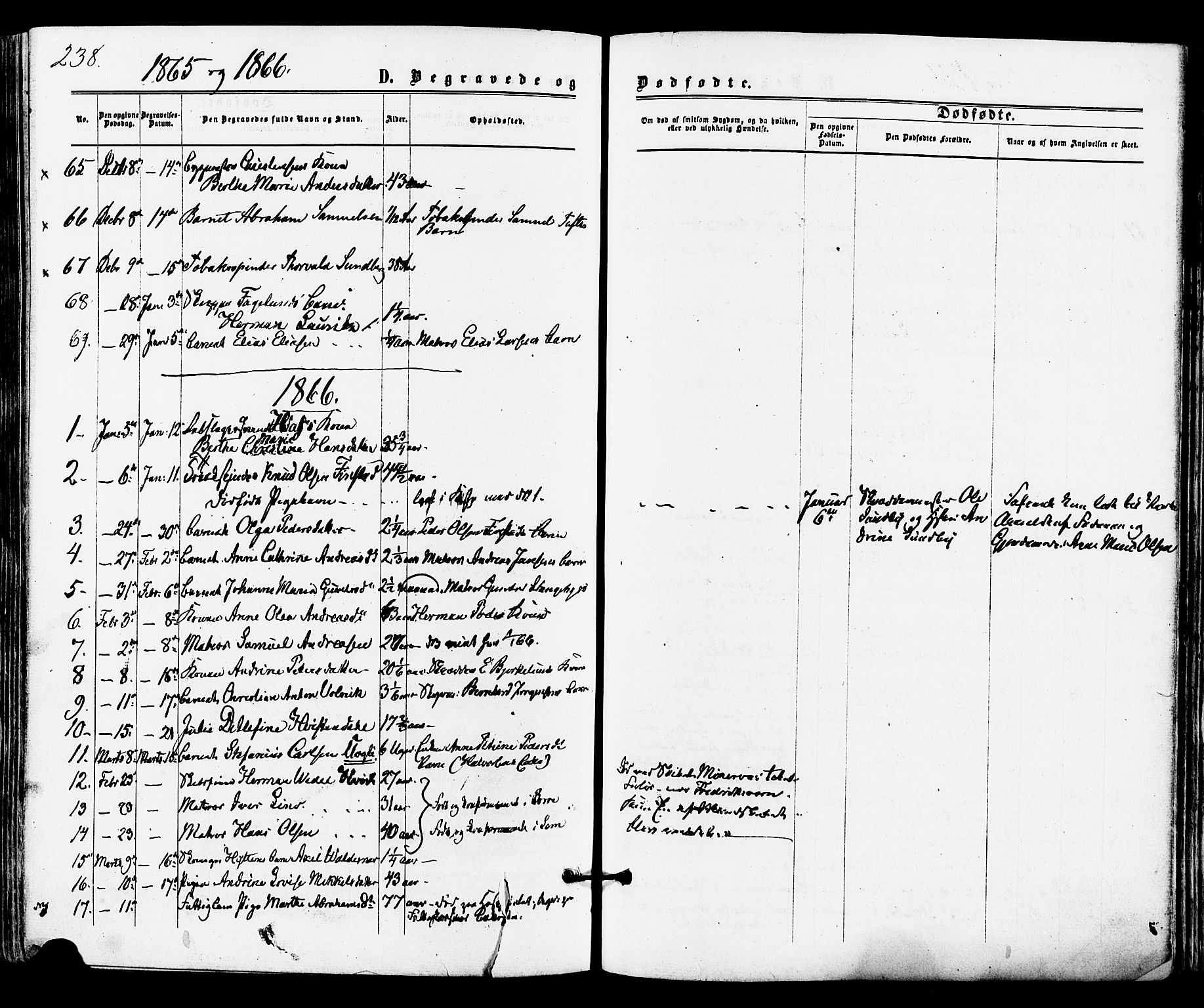 Tønsberg kirkebøker, SAKO/A-330/F/Fa/L0009: Parish register (official) no. I 9, 1865-1873, p. 238