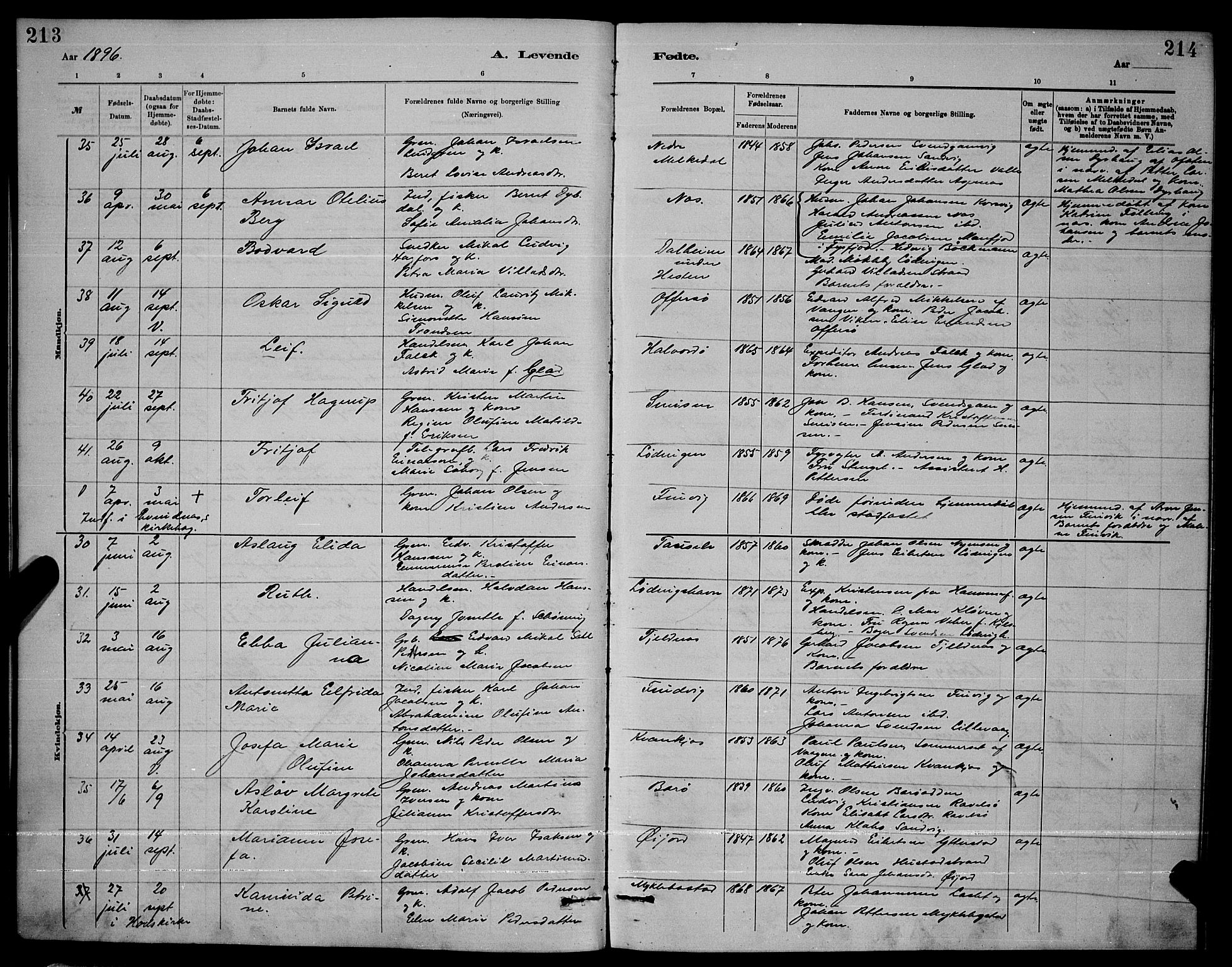 Ministerialprotokoller, klokkerbøker og fødselsregistre - Nordland, AV/SAT-A-1459/872/L1047: Parish register (copy) no. 872C03, 1880-1897, p. 213-214