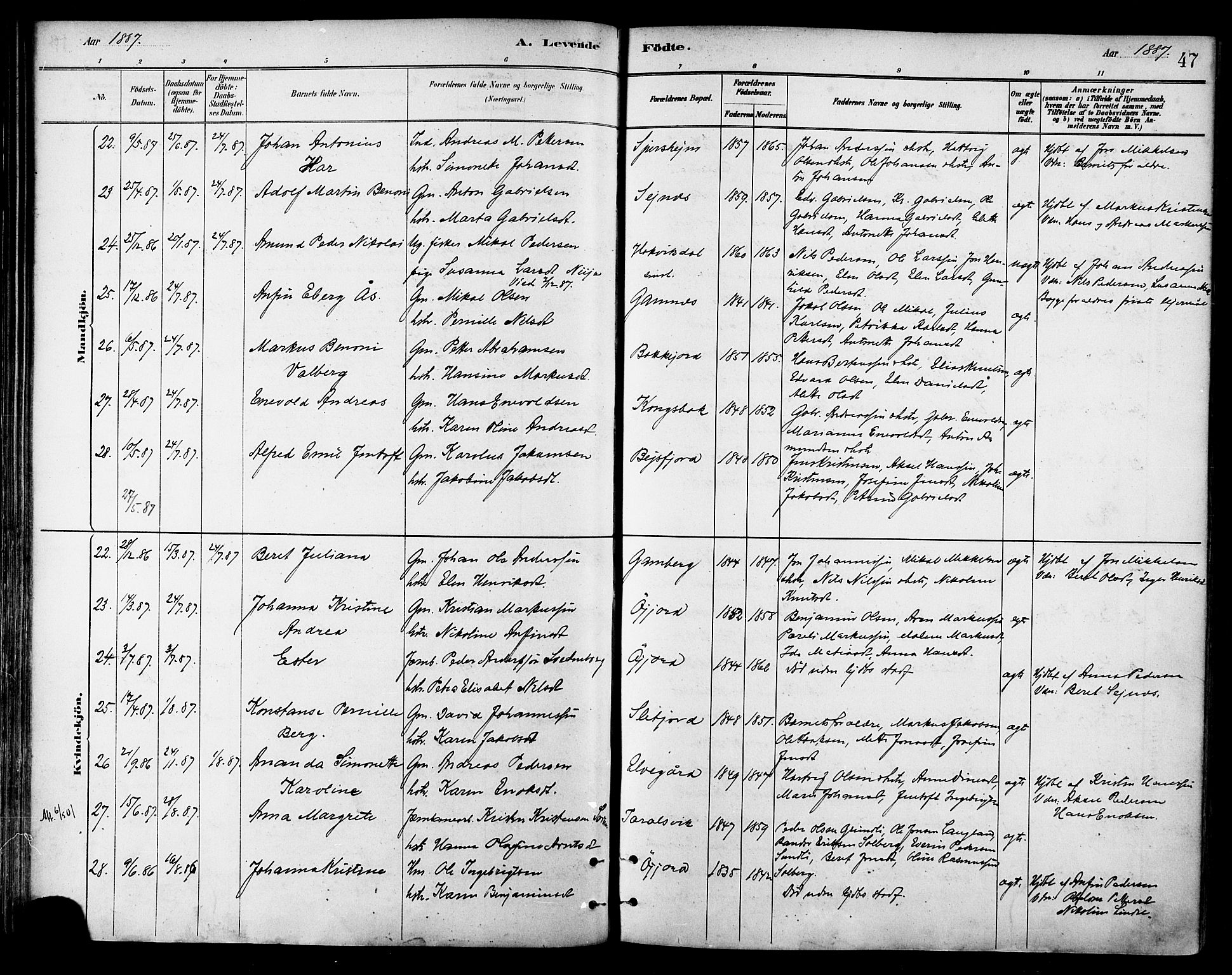 Ministerialprotokoller, klokkerbøker og fødselsregistre - Nordland, AV/SAT-A-1459/866/L0938: Parish register (official) no. 866A01, 1879-1893, p. 47