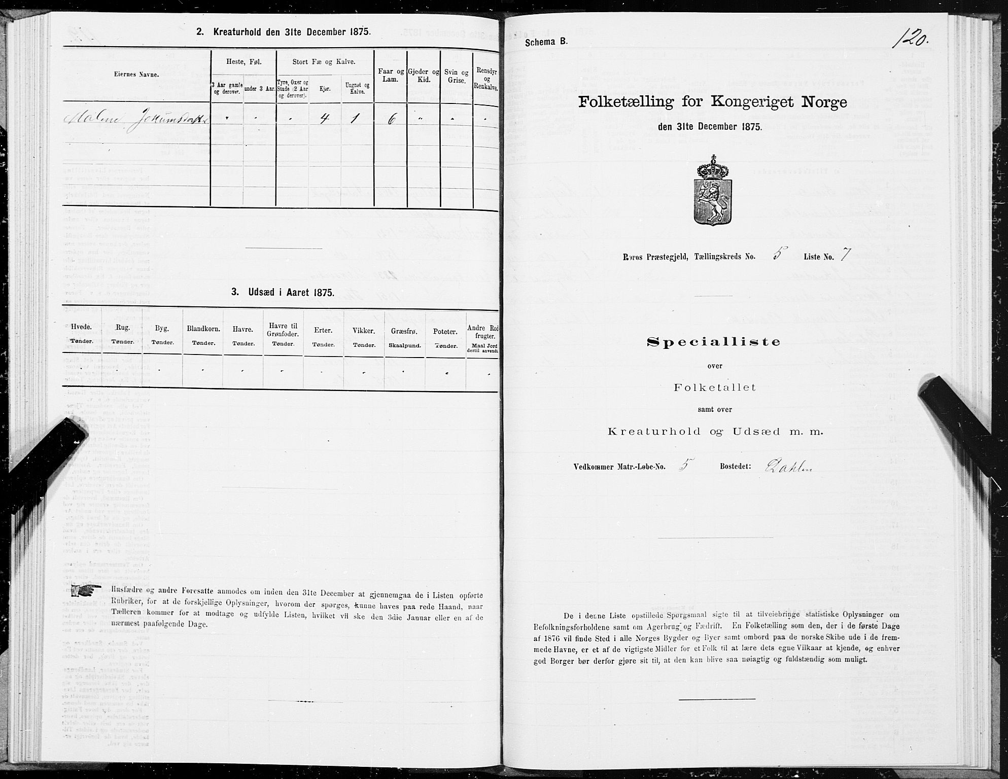 SAT, 1875 census for 1640P Røros, 1875, p. 3120