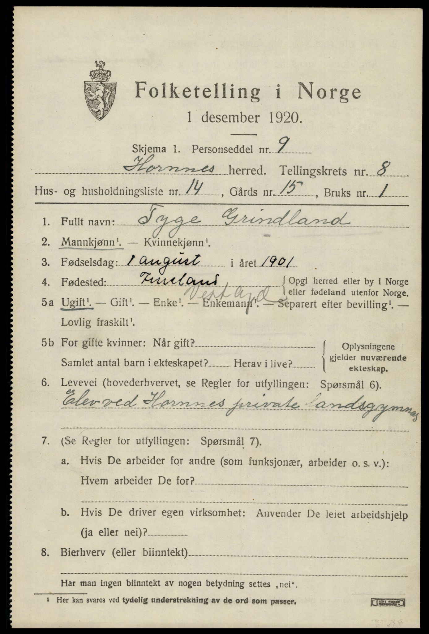 SAK, 1920 census for Hornnes, 1920, p. 2041