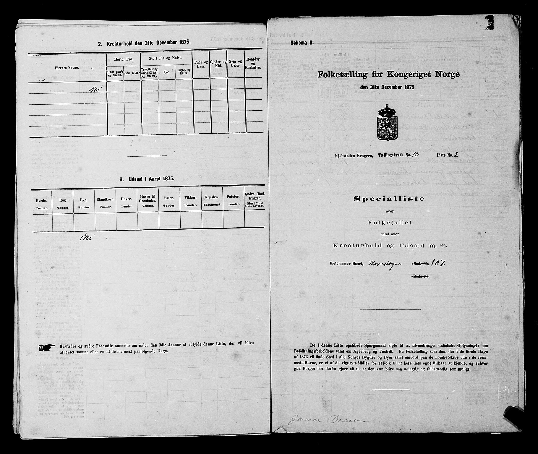 SAKO, 1875 census for 0801P Kragerø, 1875, p. 216