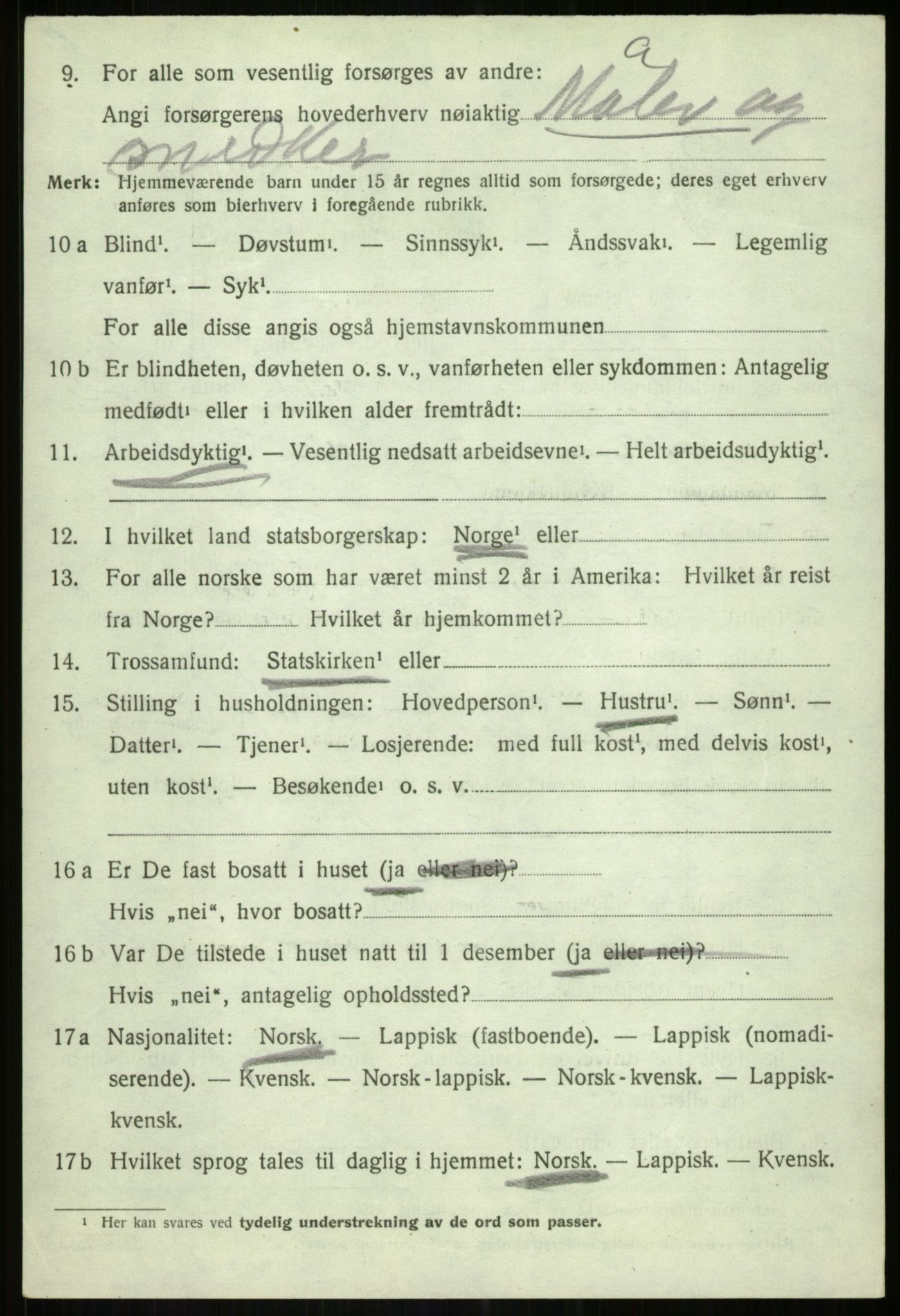 SATØ, 1920 census for Lenvik, 1920, p. 9033