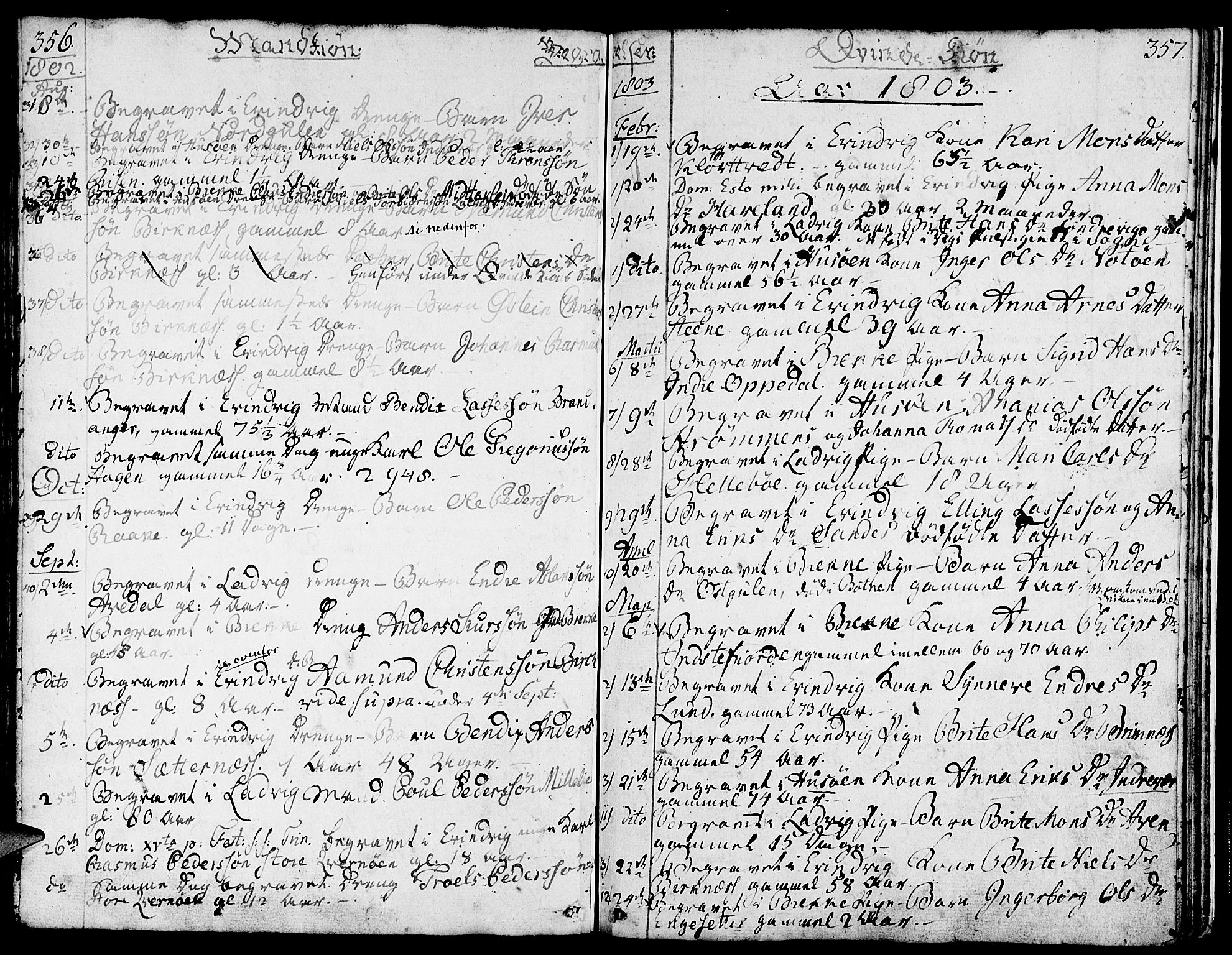 Gulen sokneprestembete, SAB/A-80201/H/Haa/Haaa/L0016: Parish register (official) no. A 16, 1798-1808, p. 356-357