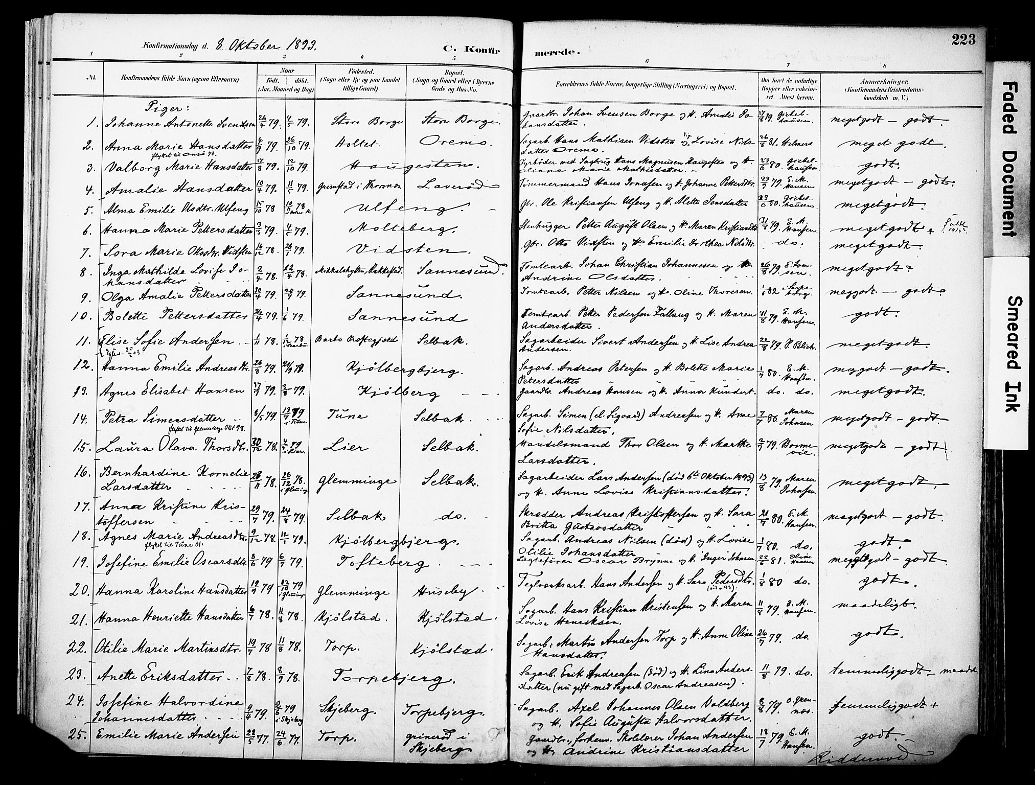 Borge prestekontor Kirkebøker, AV/SAO-A-10903/F/Fa/L0008: Parish register (official) no. I 8B, 1887-1902, p. 223