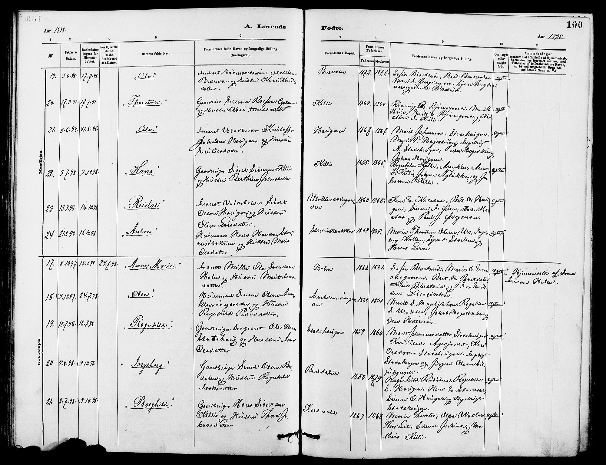 Dovre prestekontor, SAH/PREST-066/H/Ha/Hab/L0002: Parish register (copy) no. 2, 1881-1907, p. 100