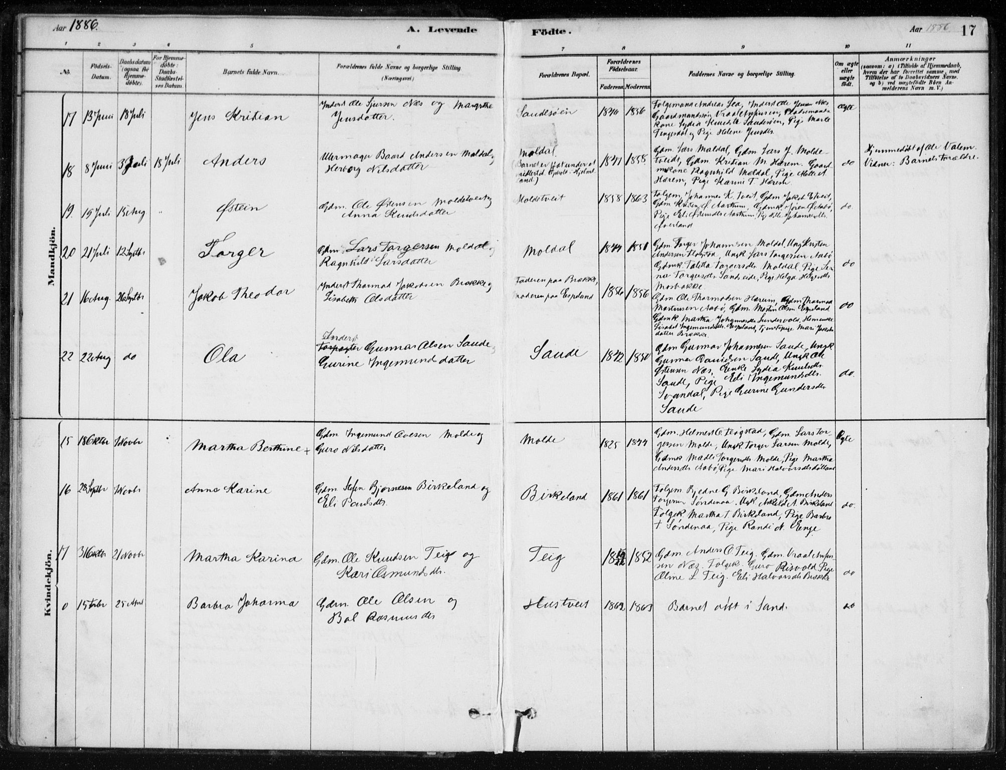 Sand sokneprestkontor, AV/SAST-A-101848/01/III/L0006: Parish register (official) no. A 6, 1880-1898, p. 17